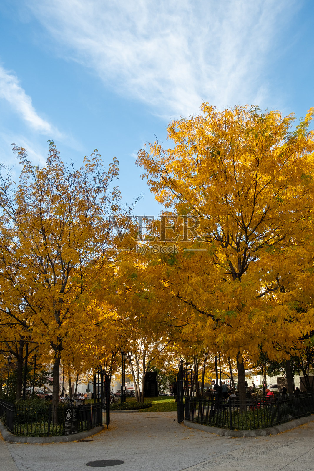 曼哈顿公园照片摄影图片