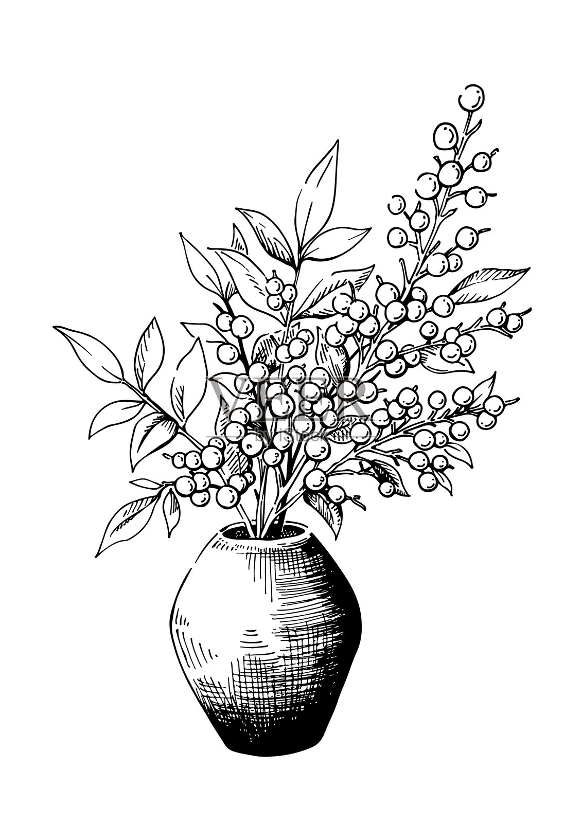 黑白手绘矢量植物插图,描绘了一个装有坚果的花瓶,旁边有树枝和叶子