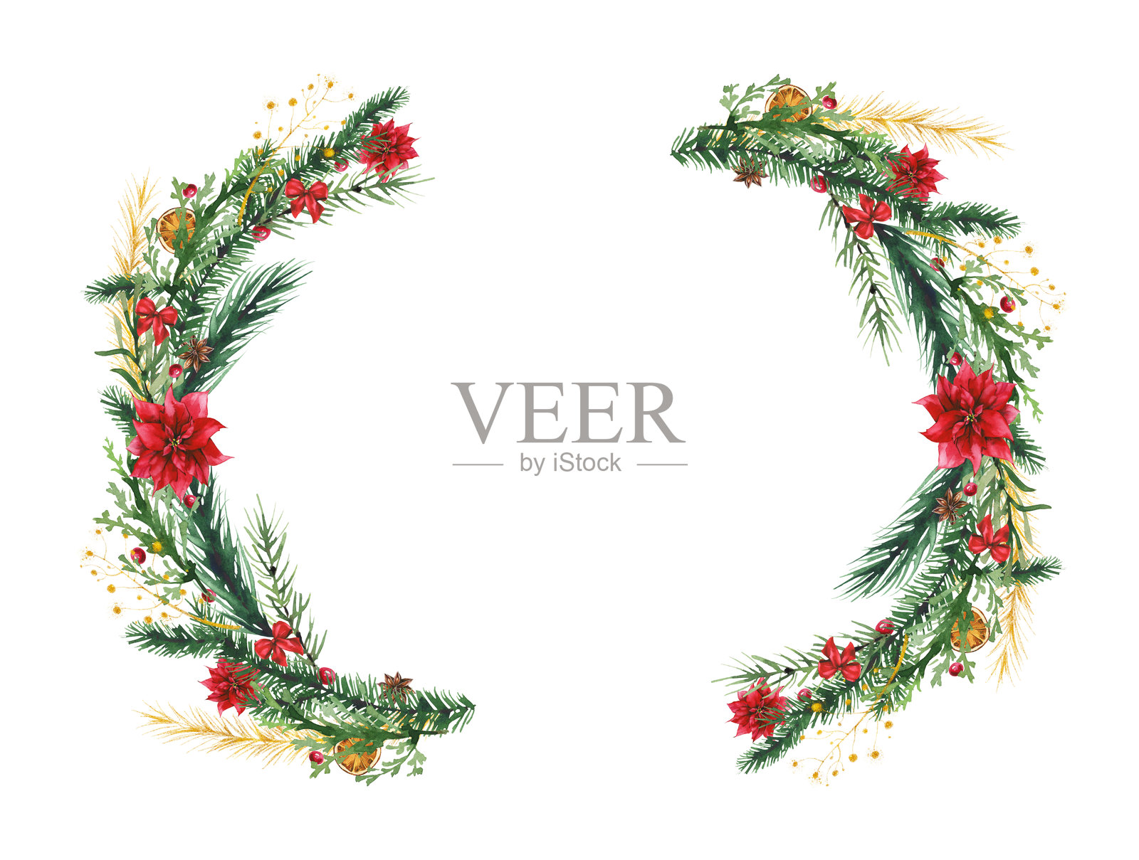 水彩圣诞绿松树枝花环框架，配有红色花朵和蝴蝶结。冬季常青松、杜松枝。照片摄影图片