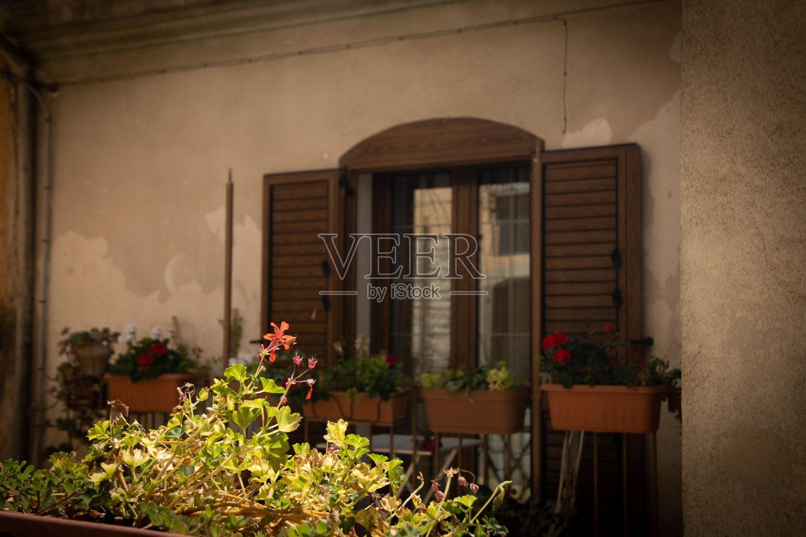 一盆粉色花朵在老房子的阳台上生长，景色宜人。照片摄影图片