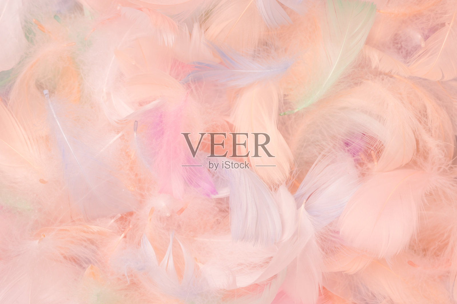 彩色羽毛背景，俯视图。照片摄影图片