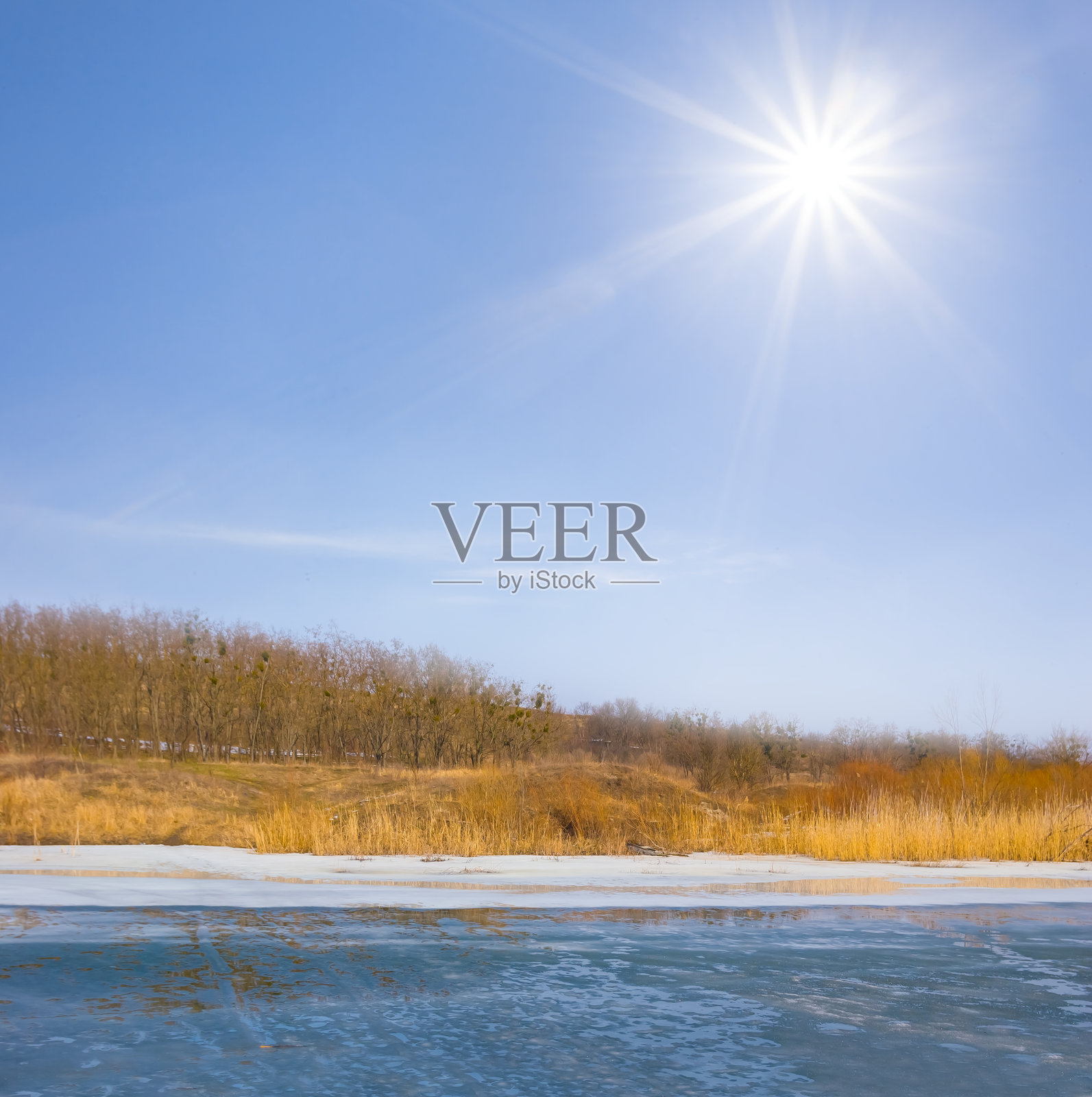 阳光明媚的冬季冰冻雪封河流，河岸边有森林，冬季户外风景照片摄影图片