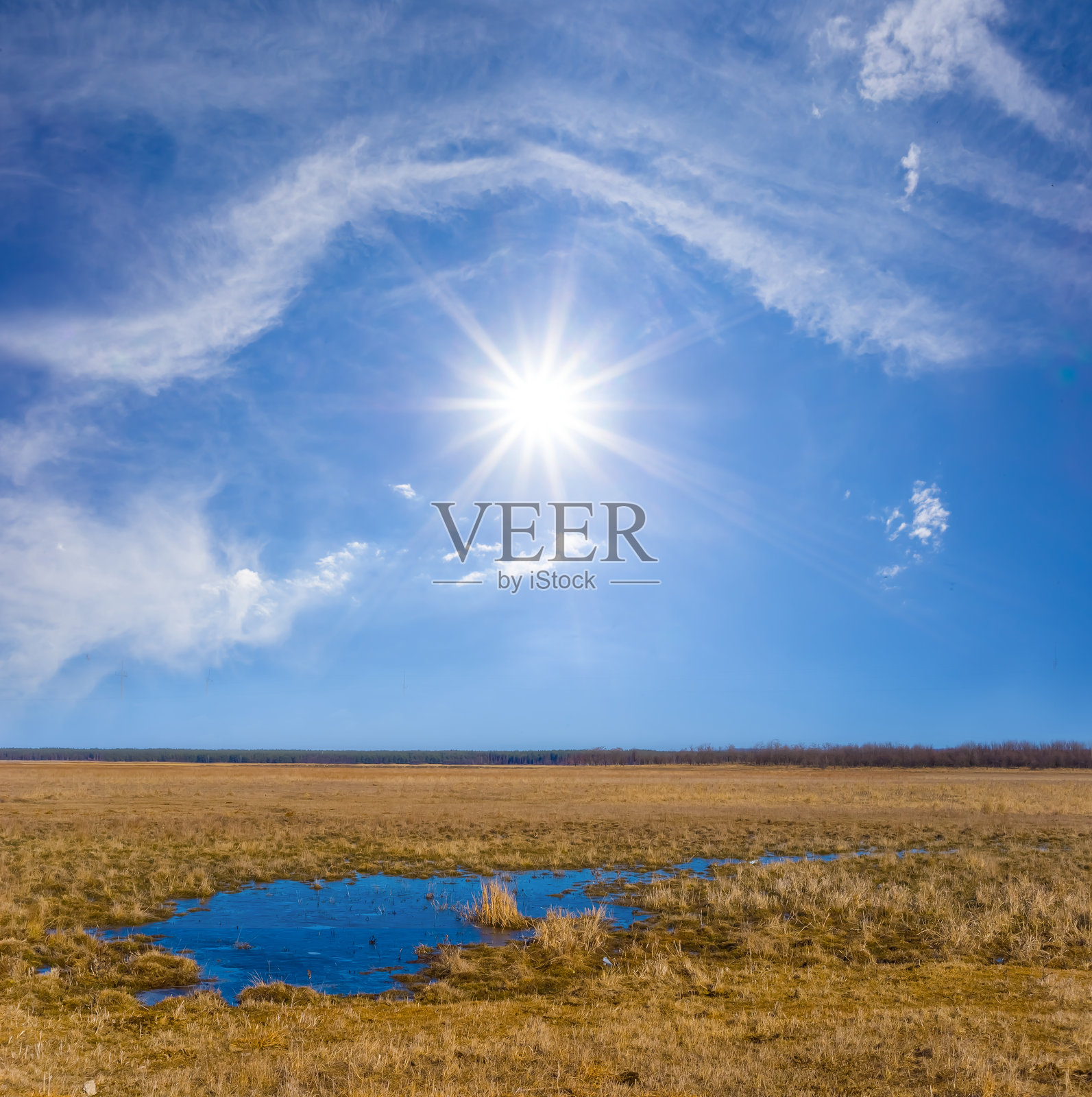 阳光明媚的日子里，干燥草原中的小蓝湖照片摄影图片