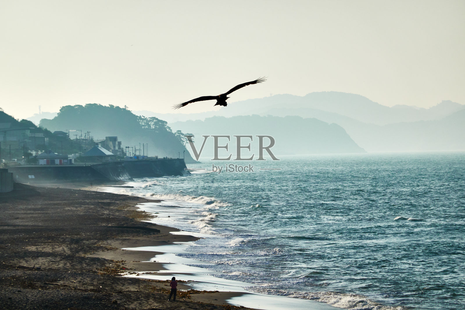 海鸥在天空中飞翔，海面映衬着蓝天照片摄影图片