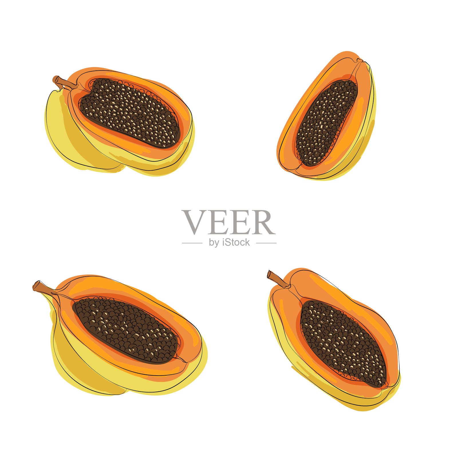 一组异国水果，孤立在白色背景上。木瓜的轮廓和剪影的矢量涂鸦插图。插画图片素材