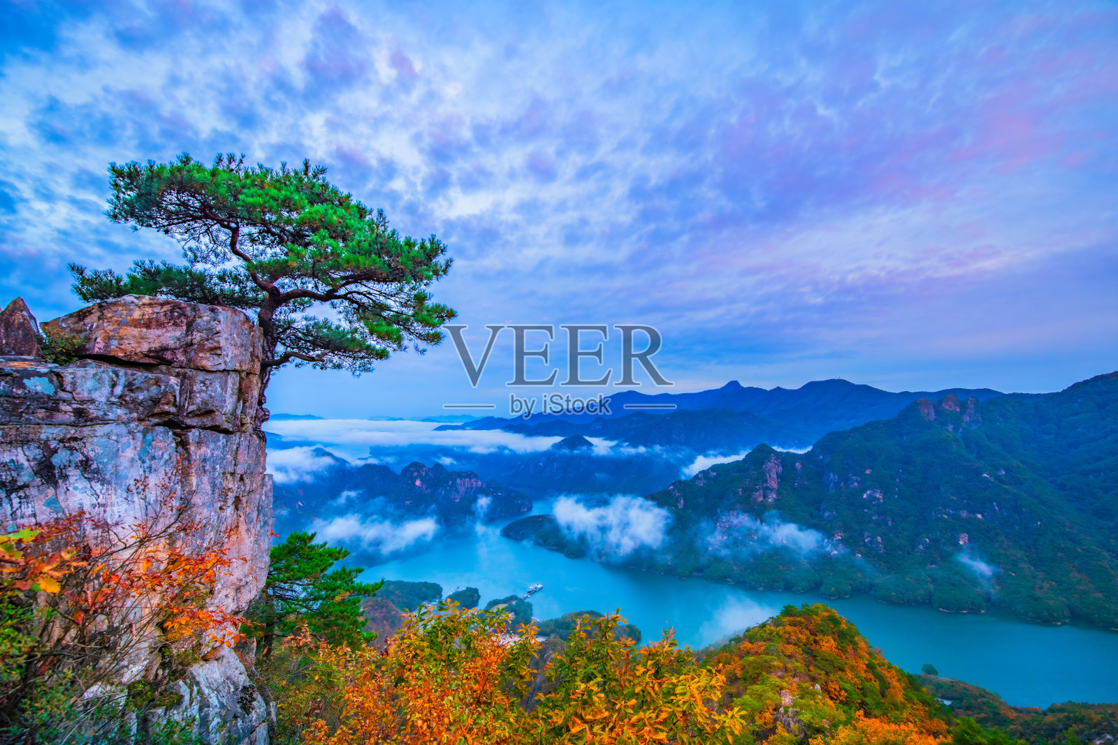 秋天的韩国，杰比峰山上一棵高大的树木矗立在岩石上。照片摄影图片