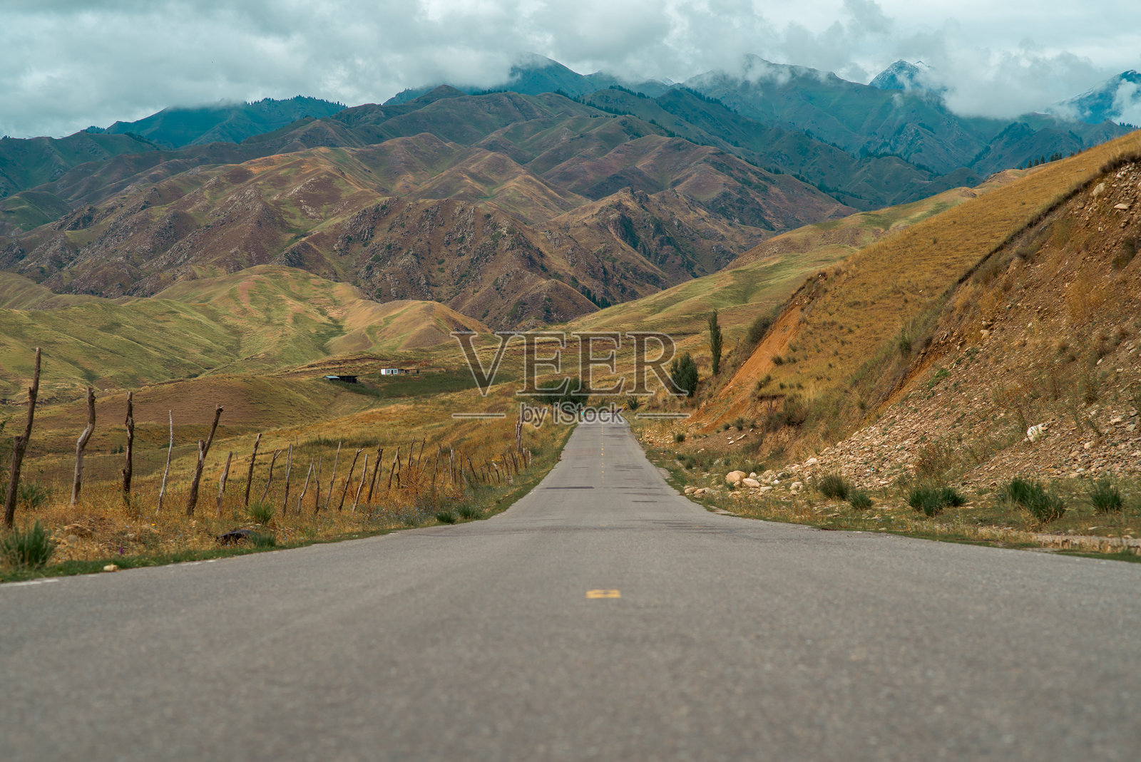 唐布拉草原照片摄影图片