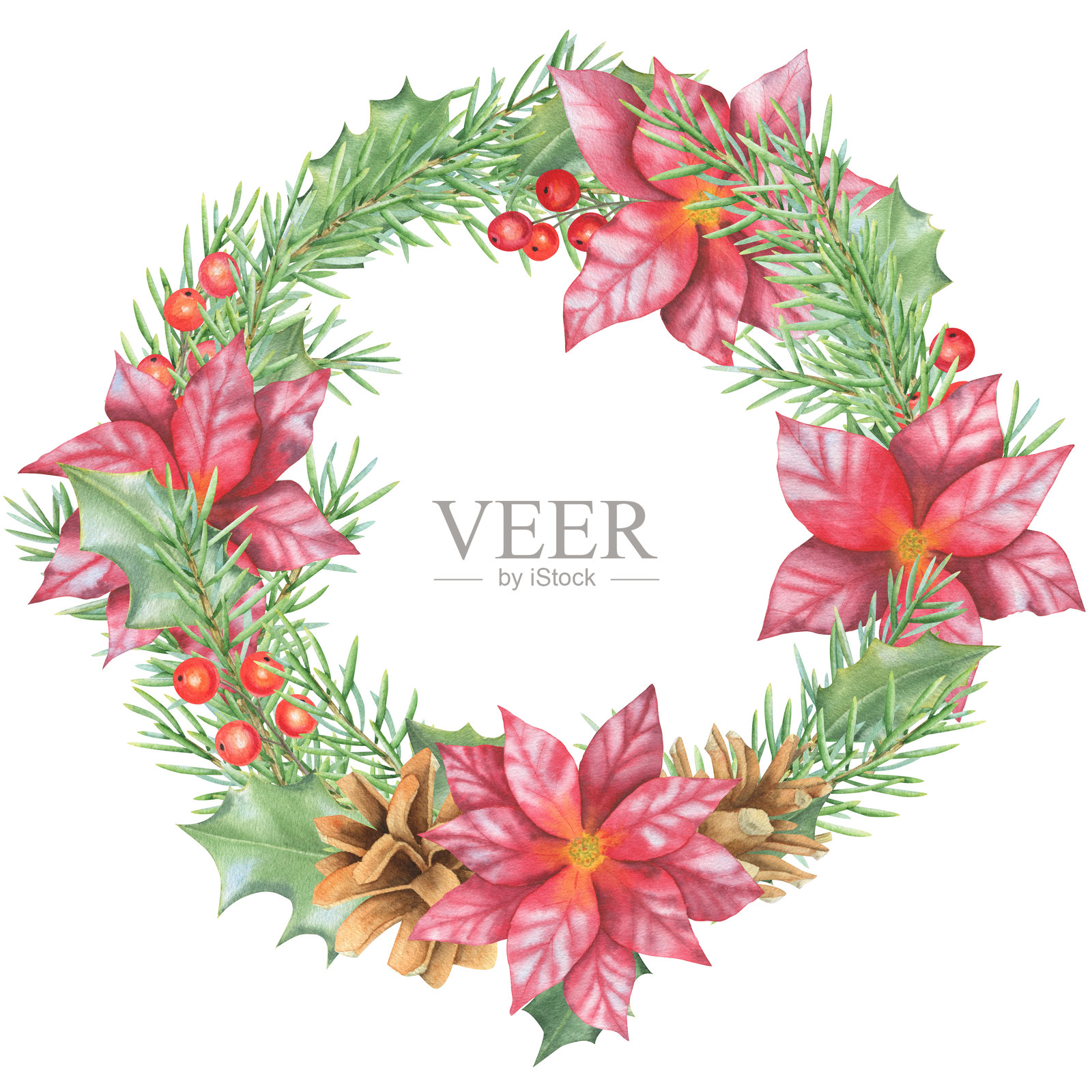 圣诞装饰。水彩风格的松枝花环，包含一品红、冬青叶和桉树叶。照片摄影图片