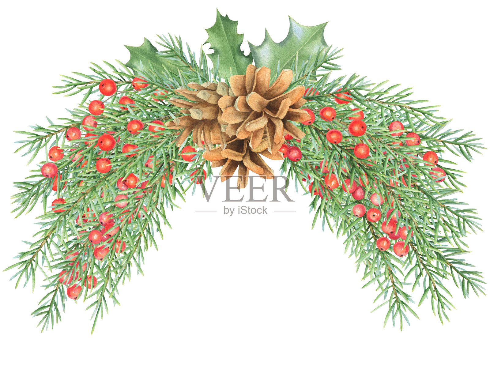 圣诞装饰。水彩画的松枝、冬青叶和浆果、松 cones 的组合。照片摄影图片