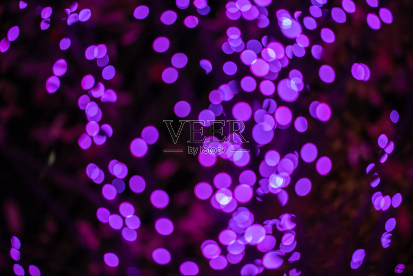 欅坂圣诞灯光秀，散景照片摄影图片