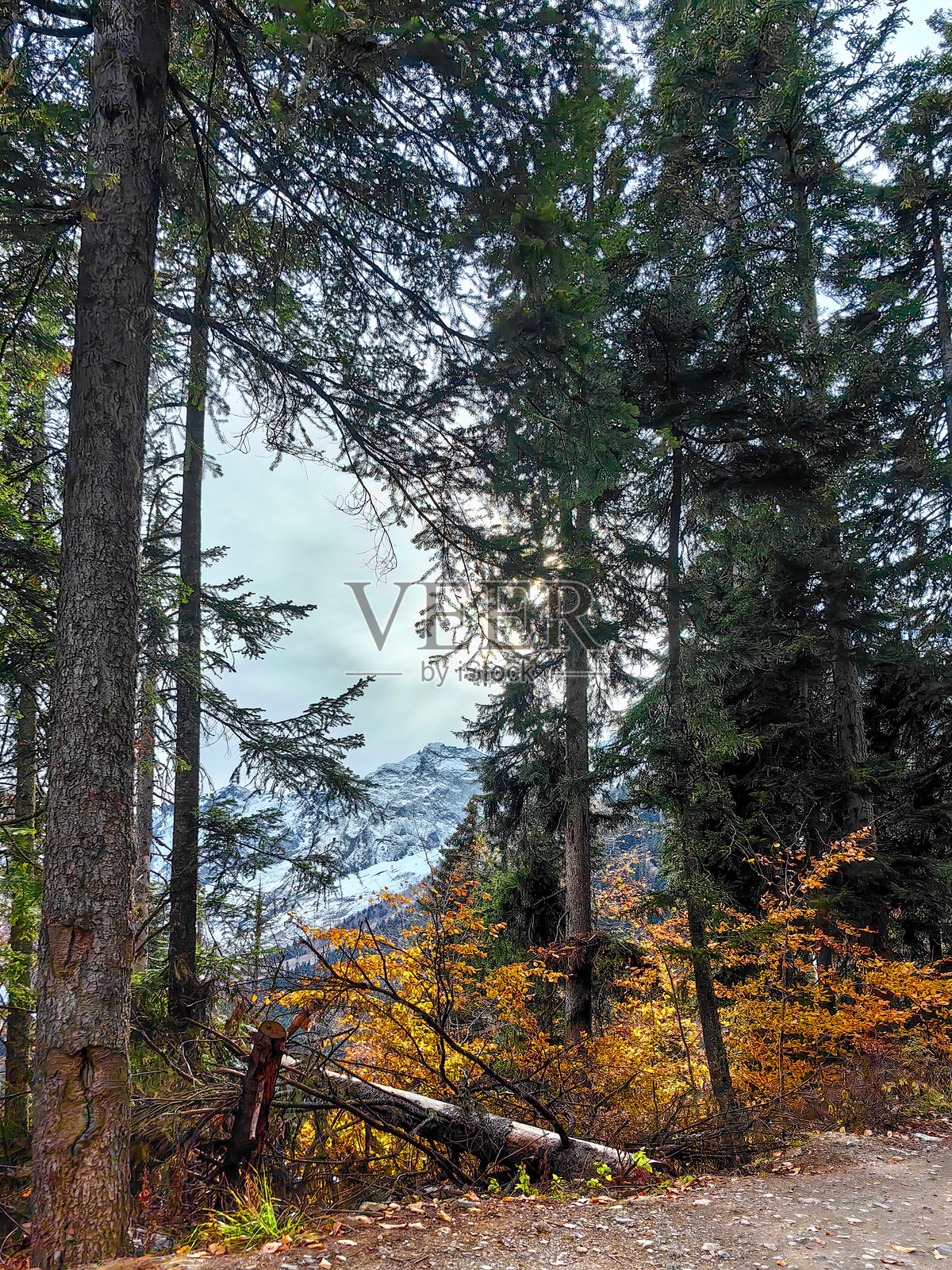 风景照片摄影图片