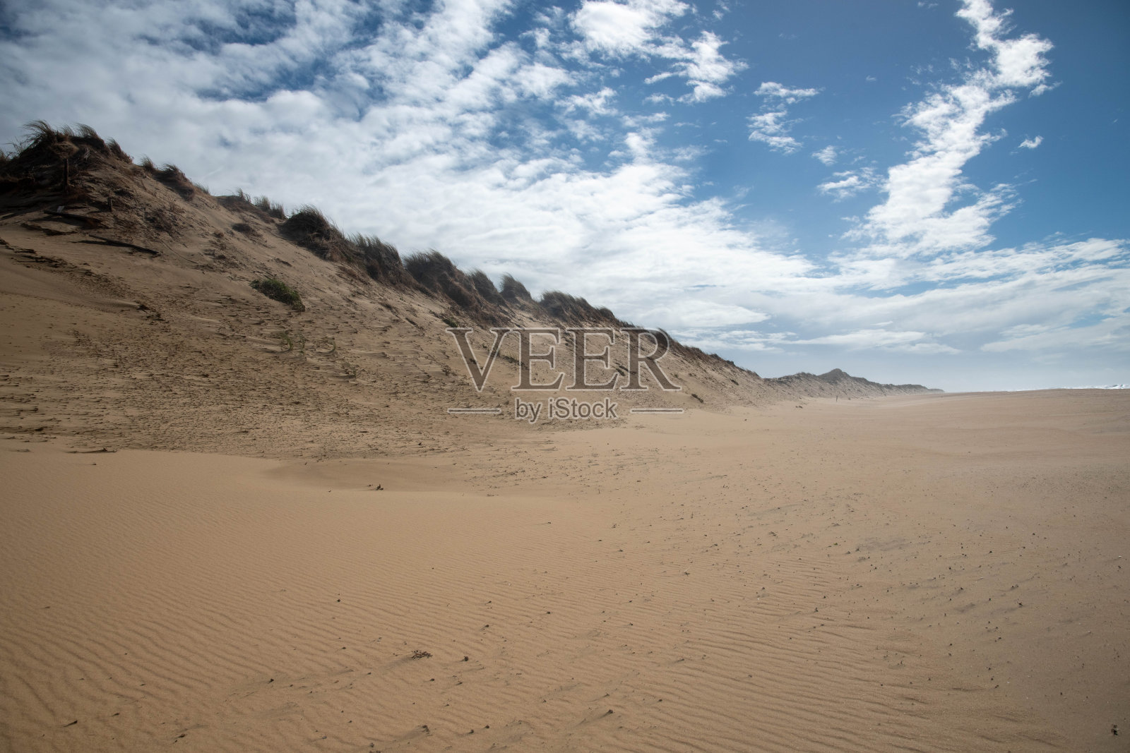 荒凉而野性的海滩照片摄影图片