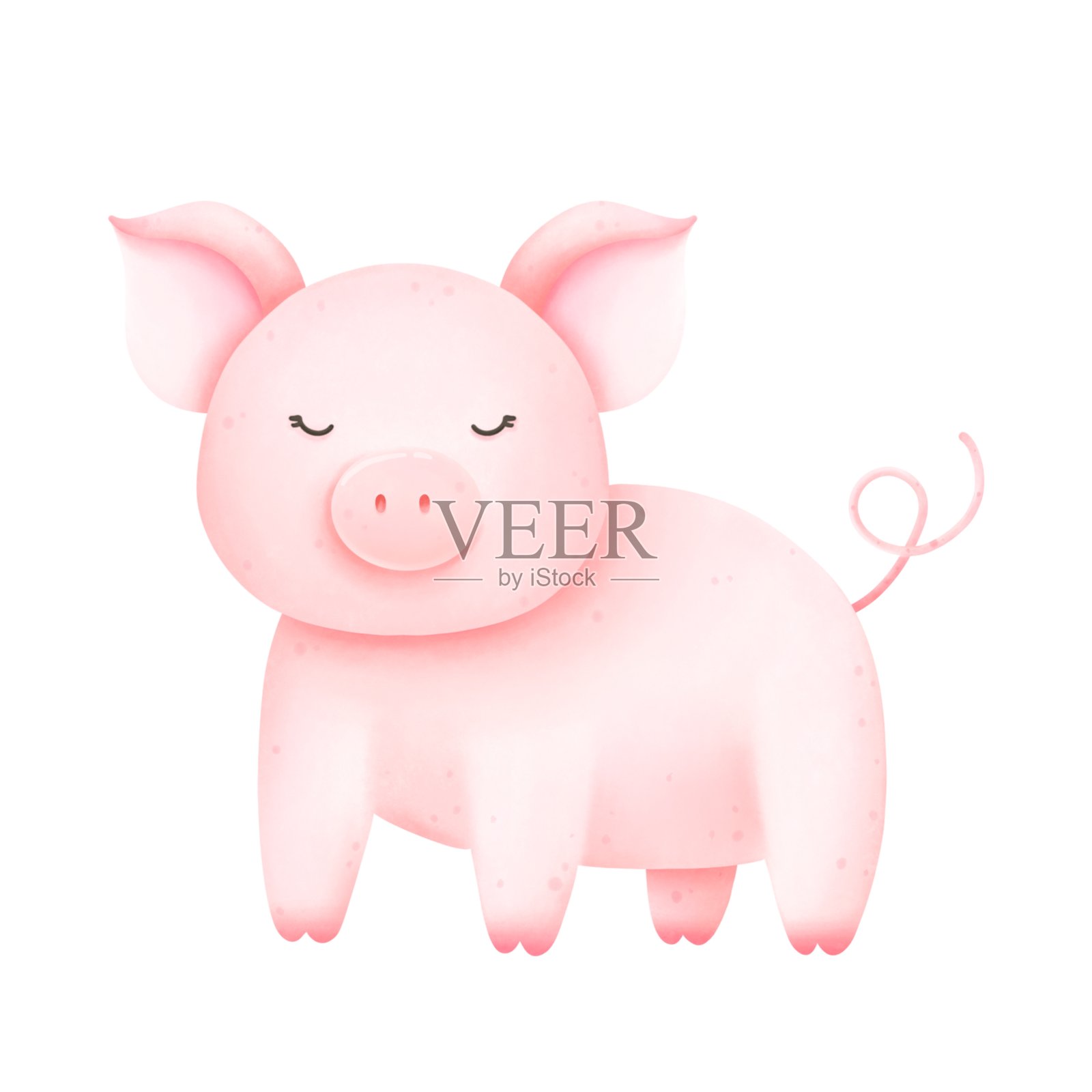 可爱的农场猪水彩画，背景为白色。照片摄影图片