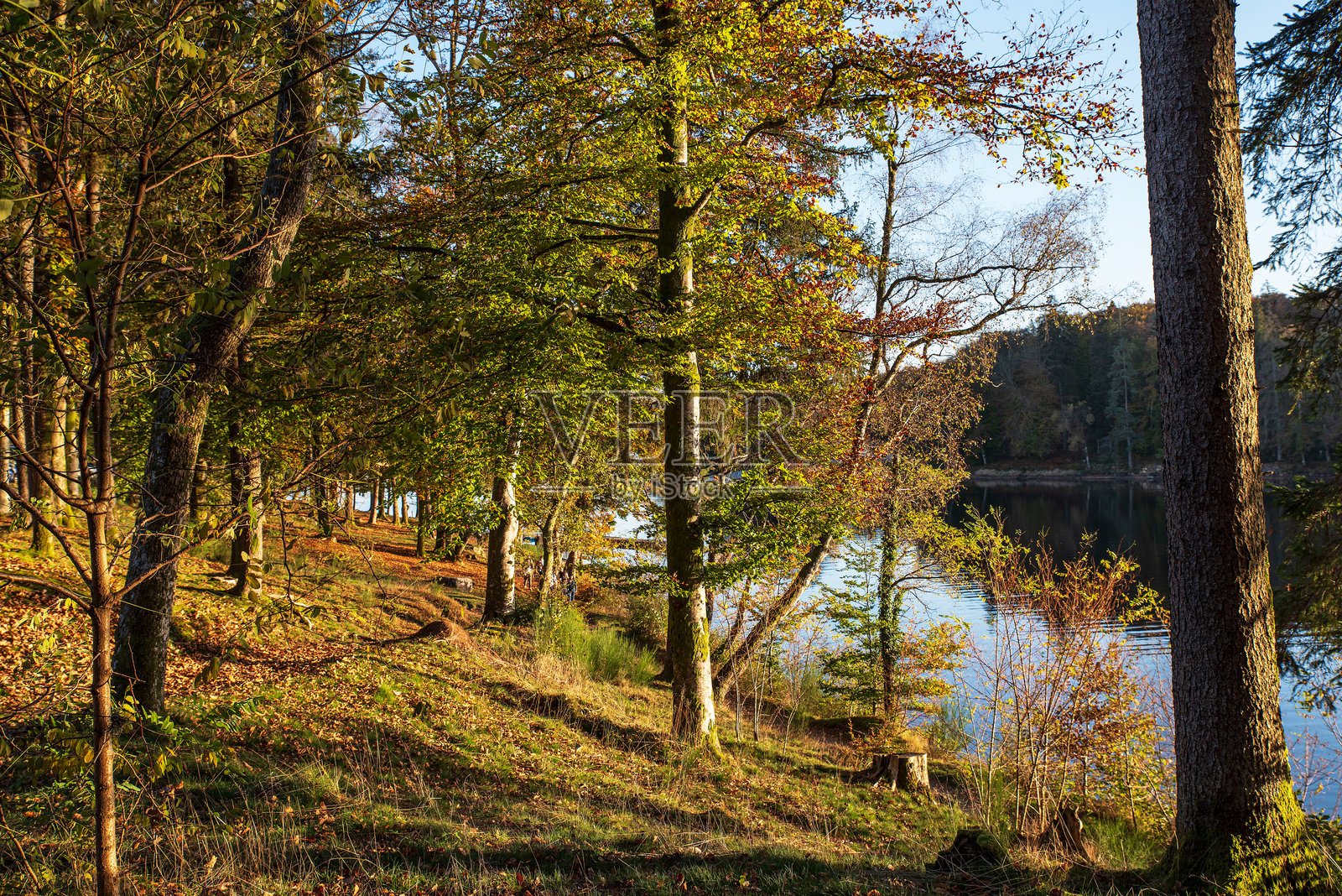 秋天的湖泊照片摄影图片