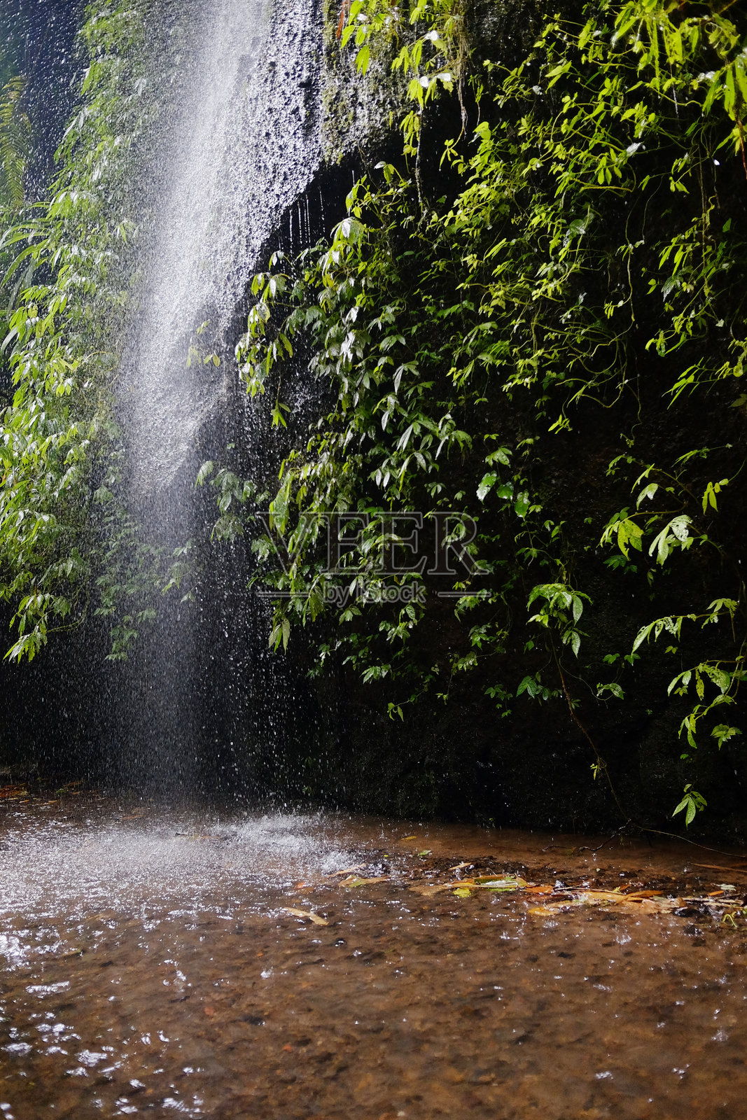 清澈的瀑布水喷洒在岩石和树叶上，流入热带常绿雨林的小溪中。照片摄影图片
