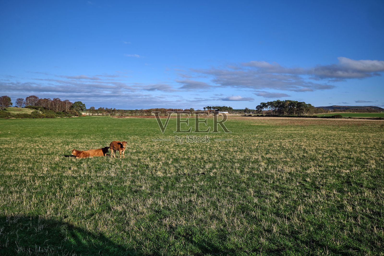 宁静的莫雷风景照片摄影图片