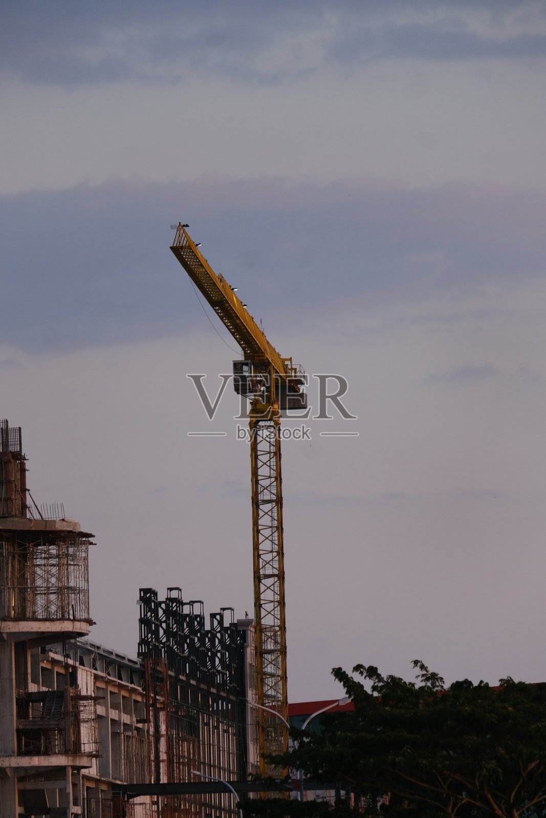 美学的美丽随机照片照片摄影图片