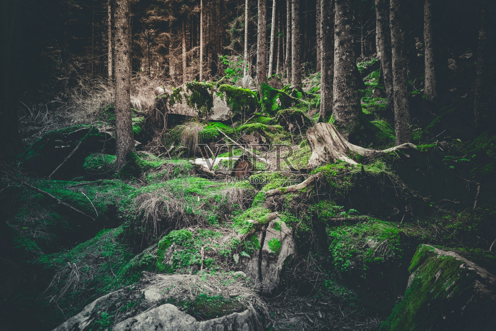 皮尔扎诺，特伦托，特伦蒂诺-阿尔托·阿迪杰，意大利照片摄影图片