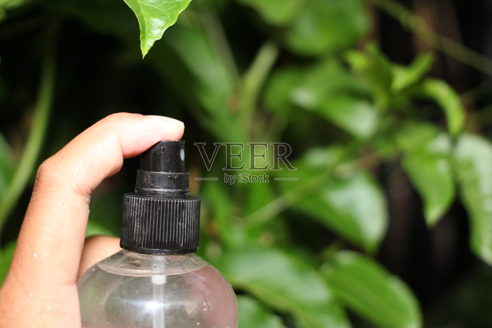 喷雾瓶与叶子背景照片摄影图片