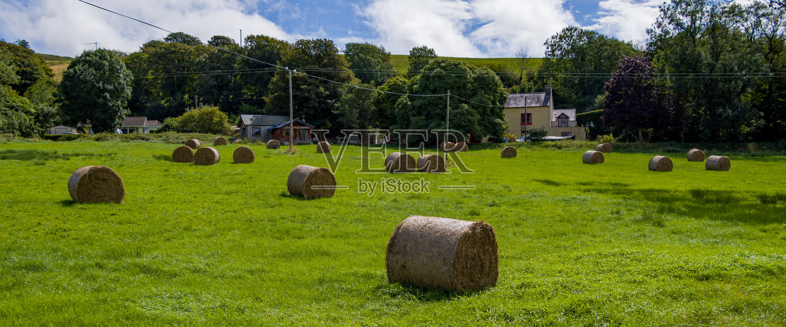 爱尔兰夏日的绿色农田上堆满了压缩干草卷。爱尔兰农业风光，农场，绿色草地上的干草。照片摄影图片