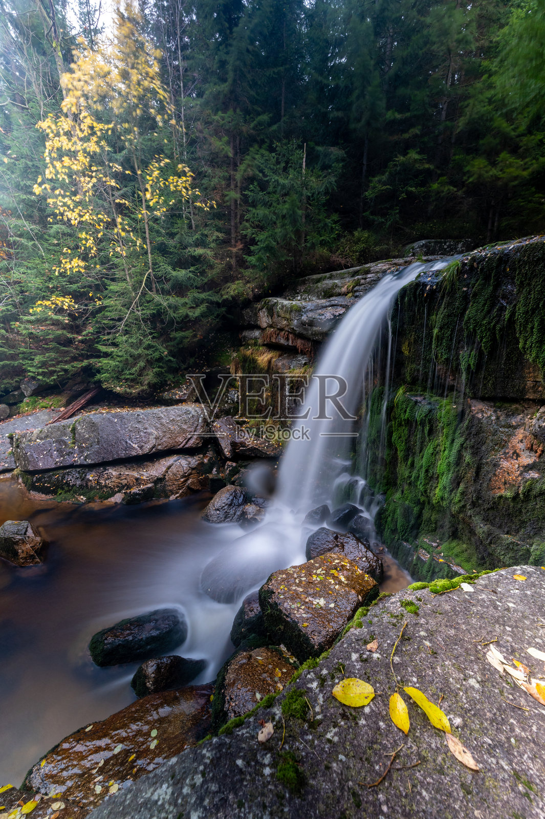 捷克共和国吉泽拉山脉秋季森林中五彩斑斓的树叶环绕的瀑布山溪照片摄影图片