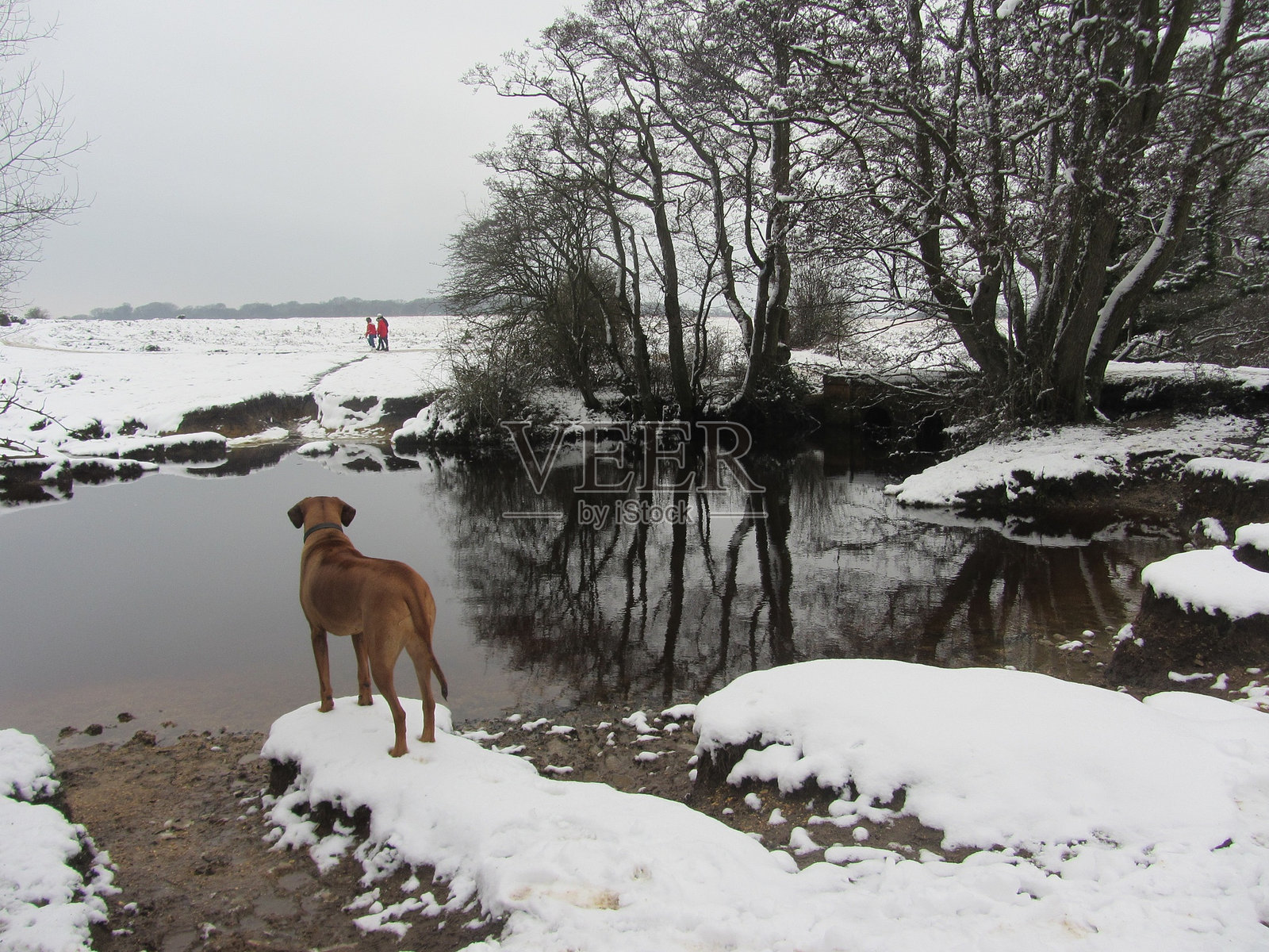 河边的罗茜照片摄影图片