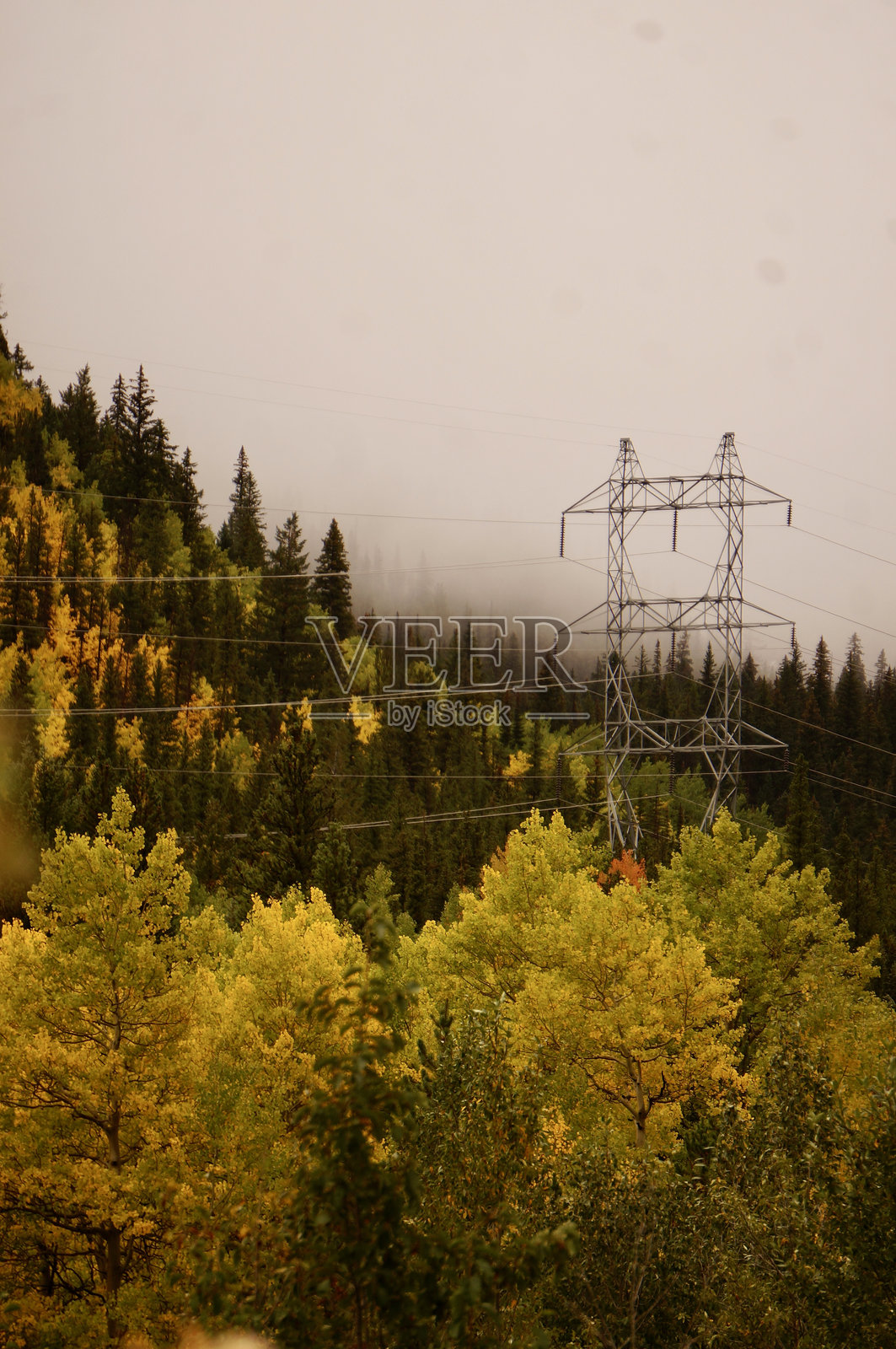 秋天的雾霭照片摄影图片