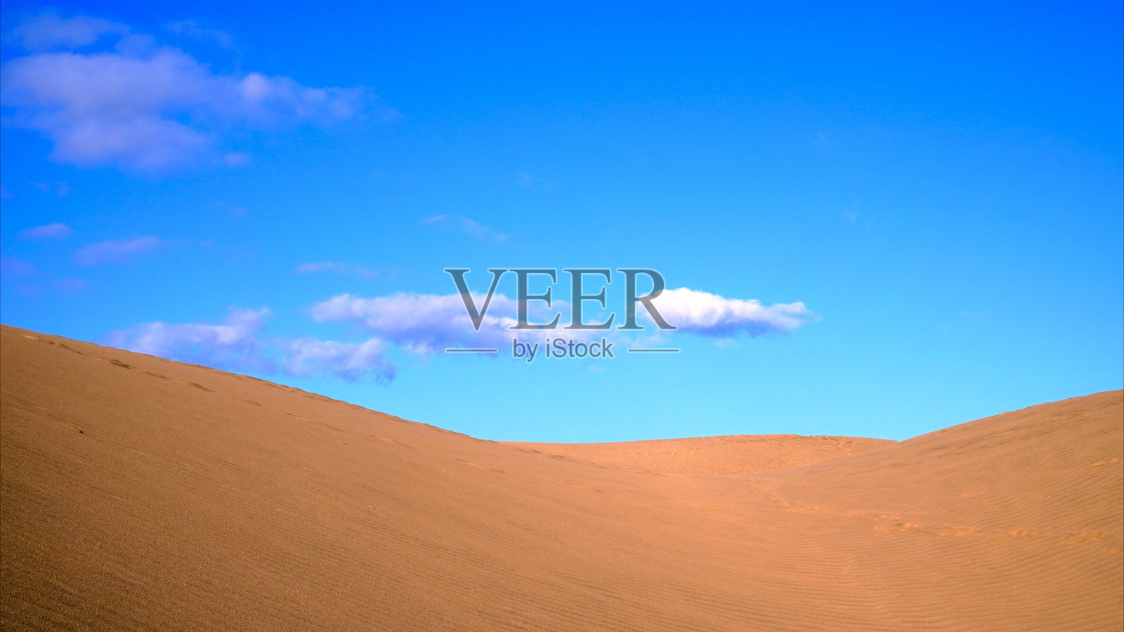 金色沙丘的顶部照片摄影图片