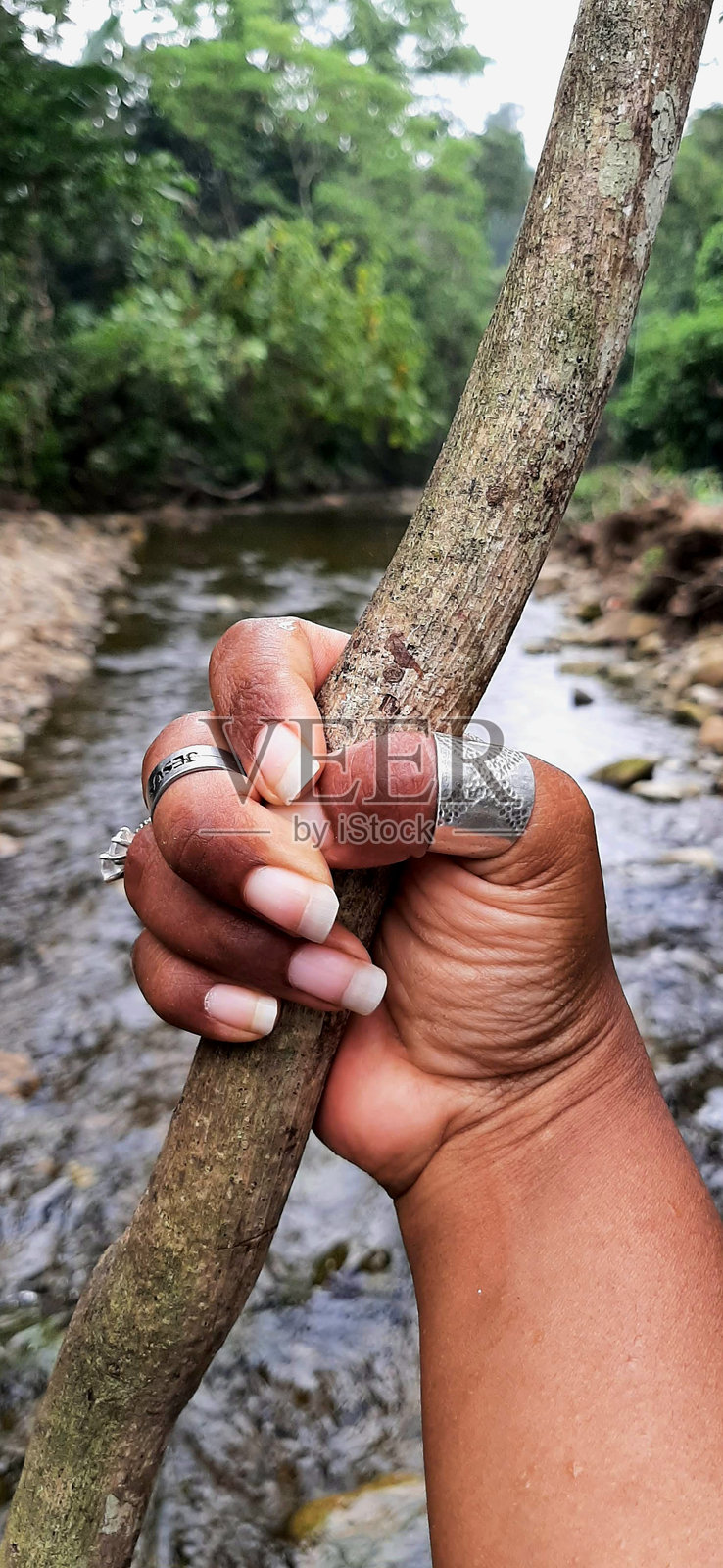 手握树枝，前方是河流和树木照片摄影图片