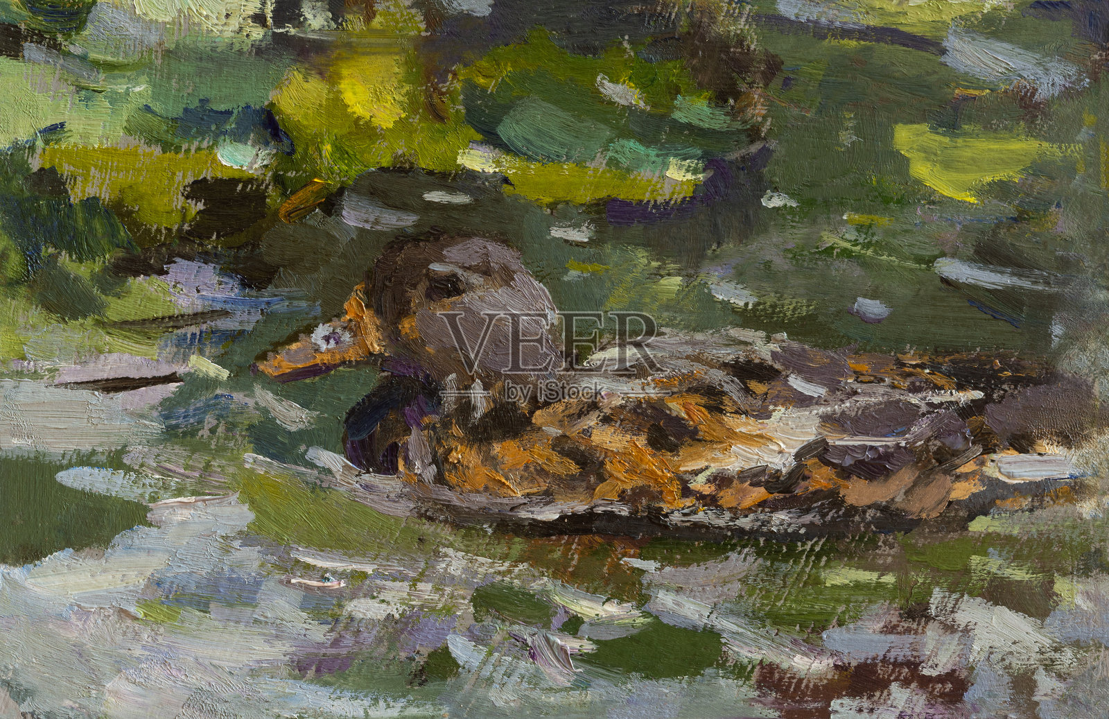 鸭子油画。手绘插图插画图片素材