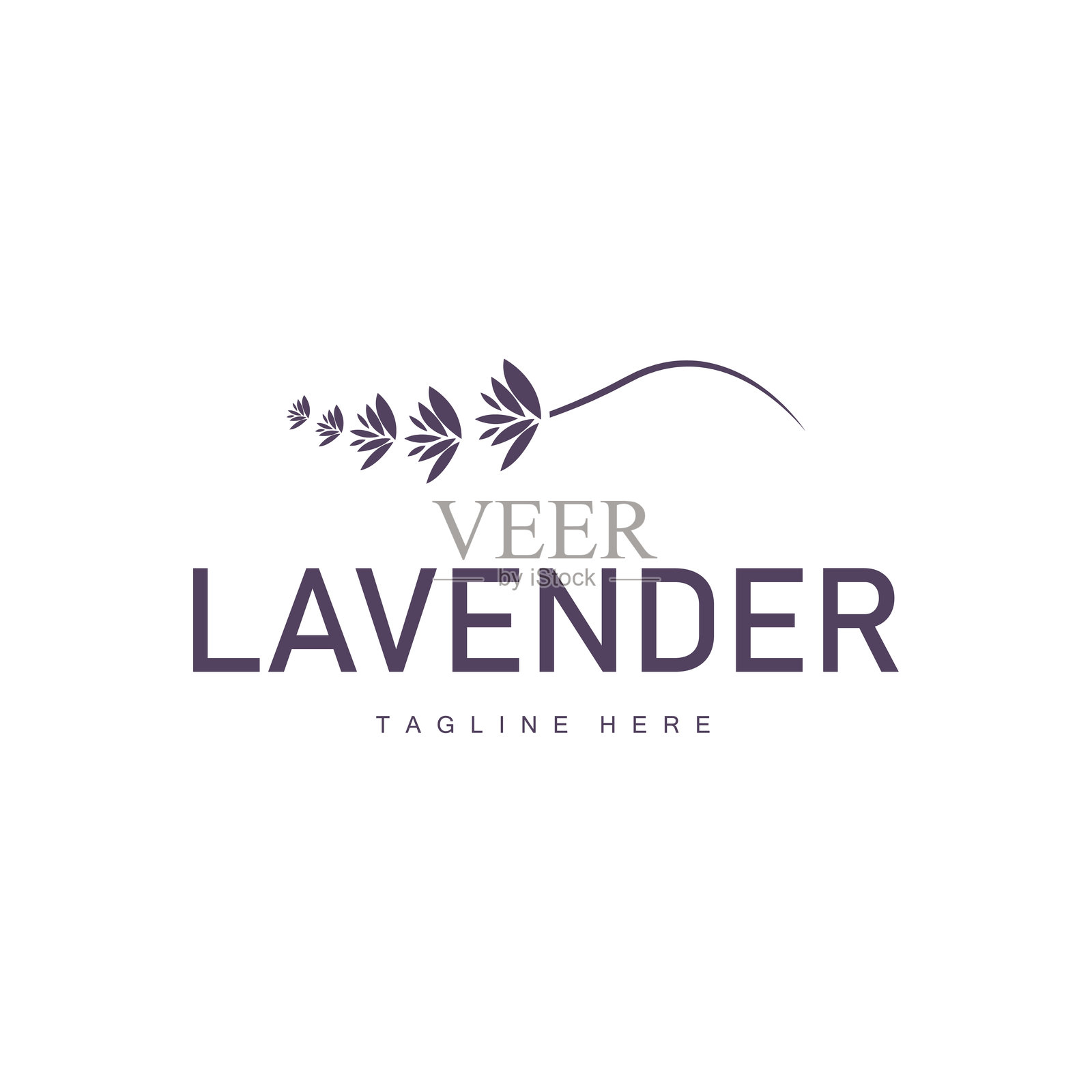 简单设计的薰衣草logo矢量图，紫色植物和芳香疗法薰衣草花园模板插画图片素材