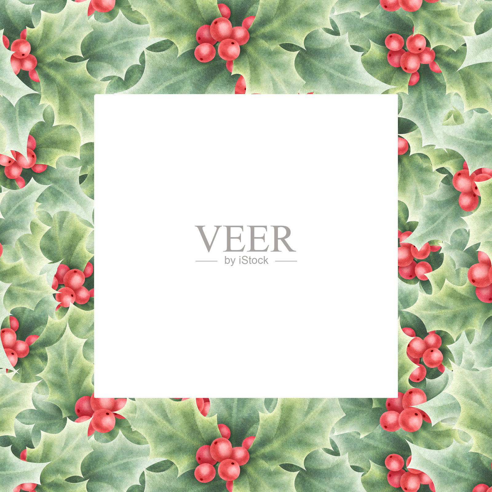 带有红色浆果和绿色叶子的冬青。手绘水彩孤立插图，留有空白文本空间。方形框架，适用于圣诞节和新年节日贺卡、标签和设计的模板。插画图片素材