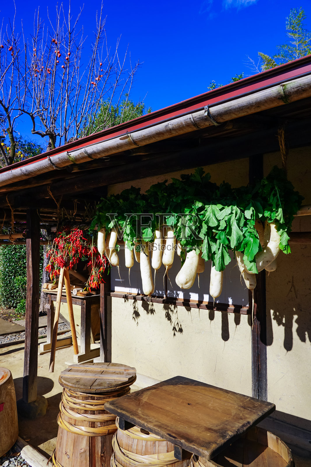 阳光下的屋檐下悬挂的干菜（东京世田谷）照片摄影图片