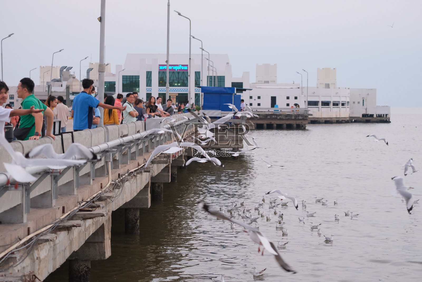 黄昏时分,游客们来到海边桥上放松。照片摄影图片