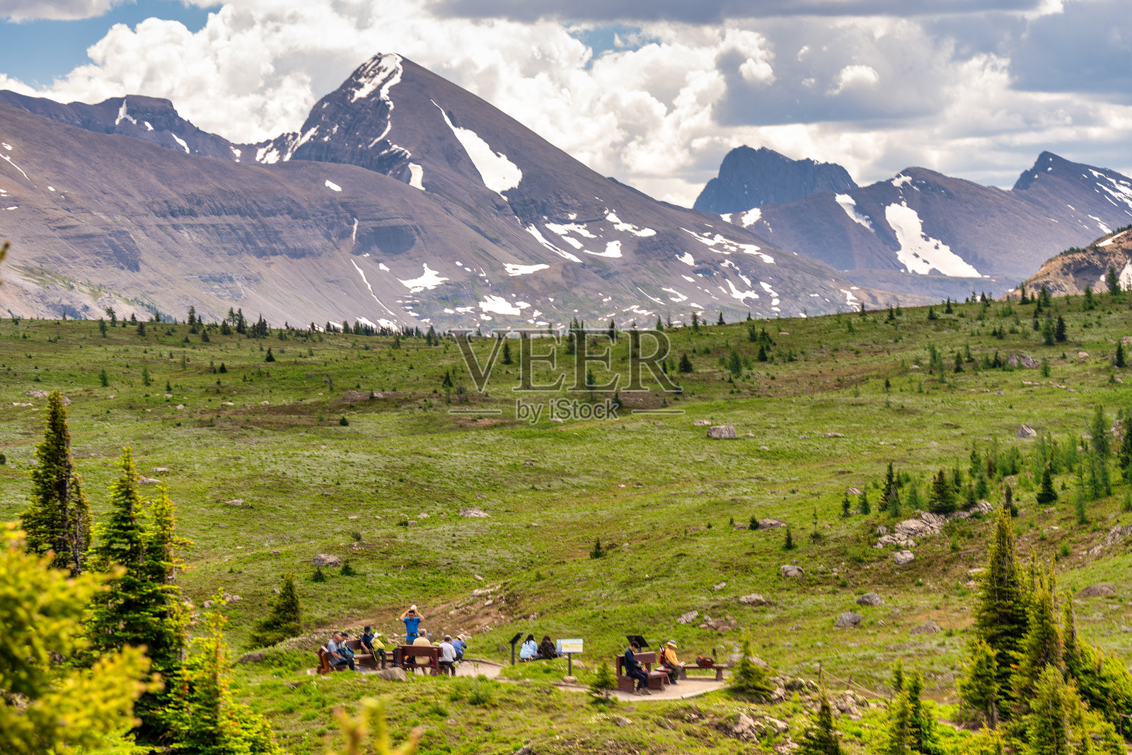 壮丽的美景 - 班夫阳光草甸的迷人山径照片摄影图片