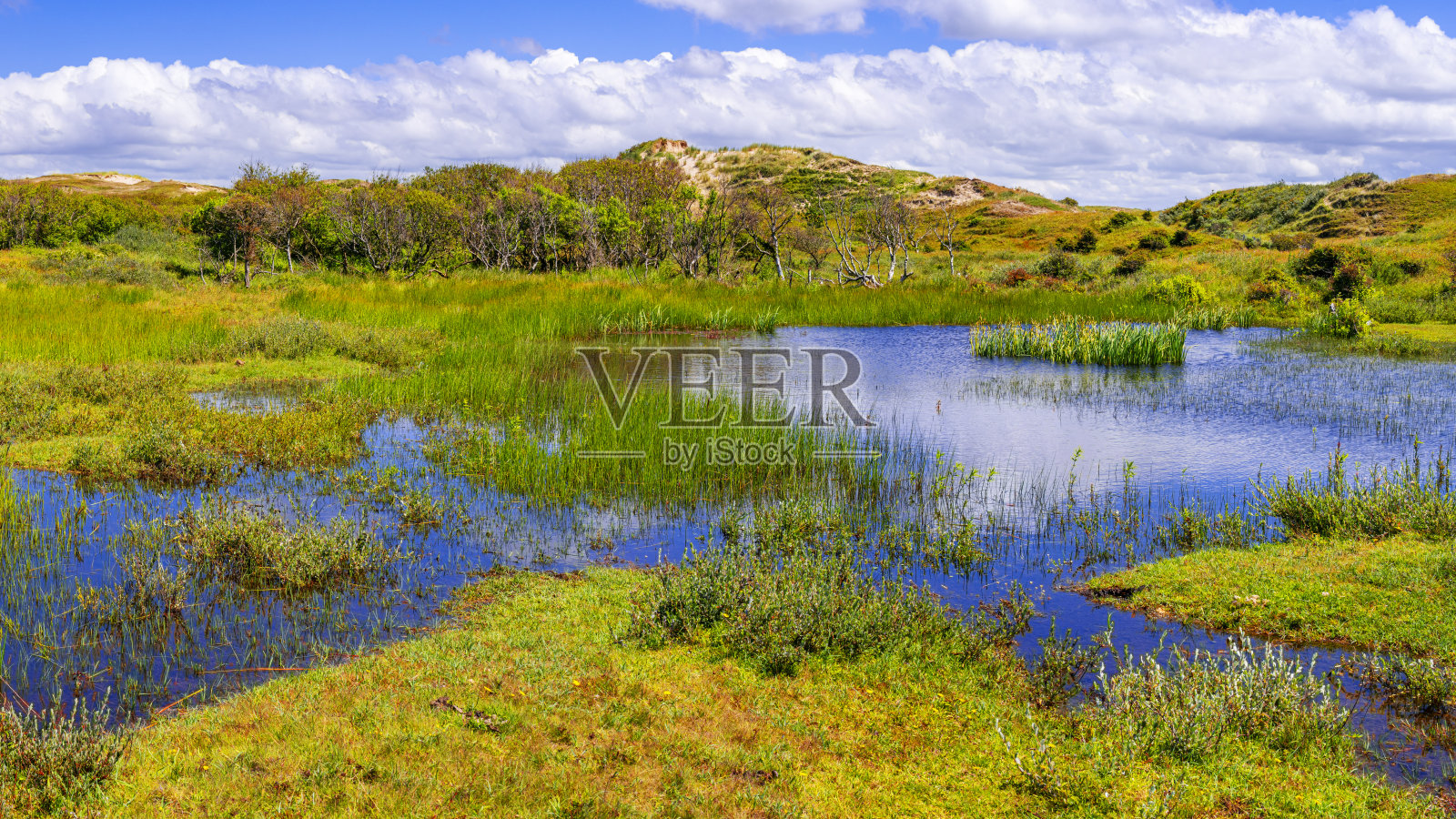 荷兰贝尔根安泽附近沙丘中的小湖照片摄影图片