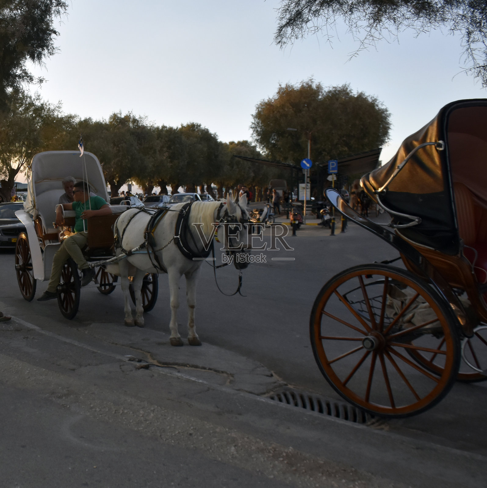 希腊埃吉纳岛，马车夫，马拉车，马，动物照片摄影图片