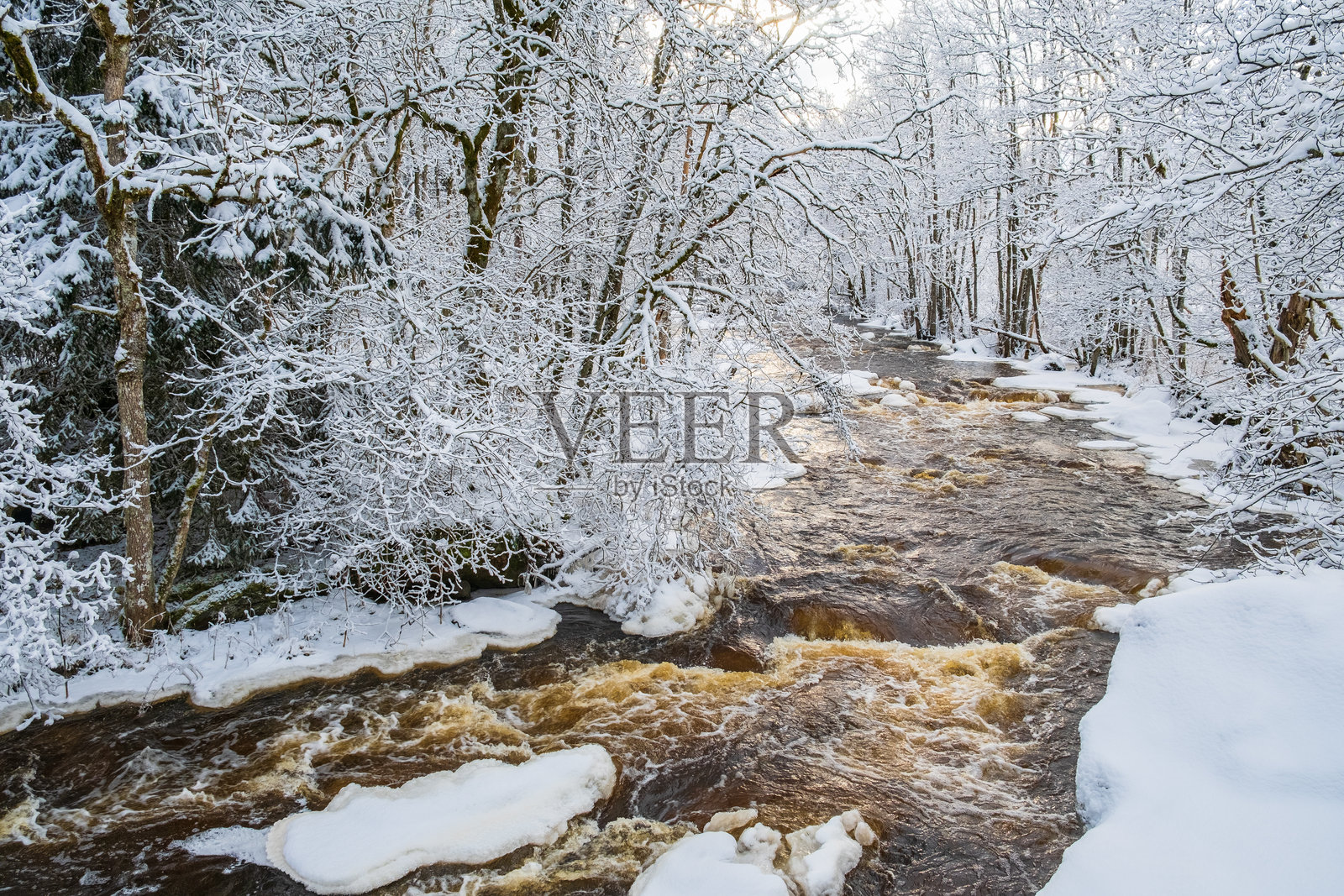 寒冷的冬季河畔风景照片摄影图片