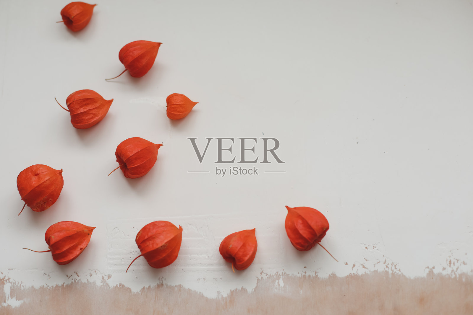 秋季框架，红色灯笼花。由红色花蕾组成的框架，背景为白色。平铺，俯视图。上方视角。留白模版。照片摄影图片