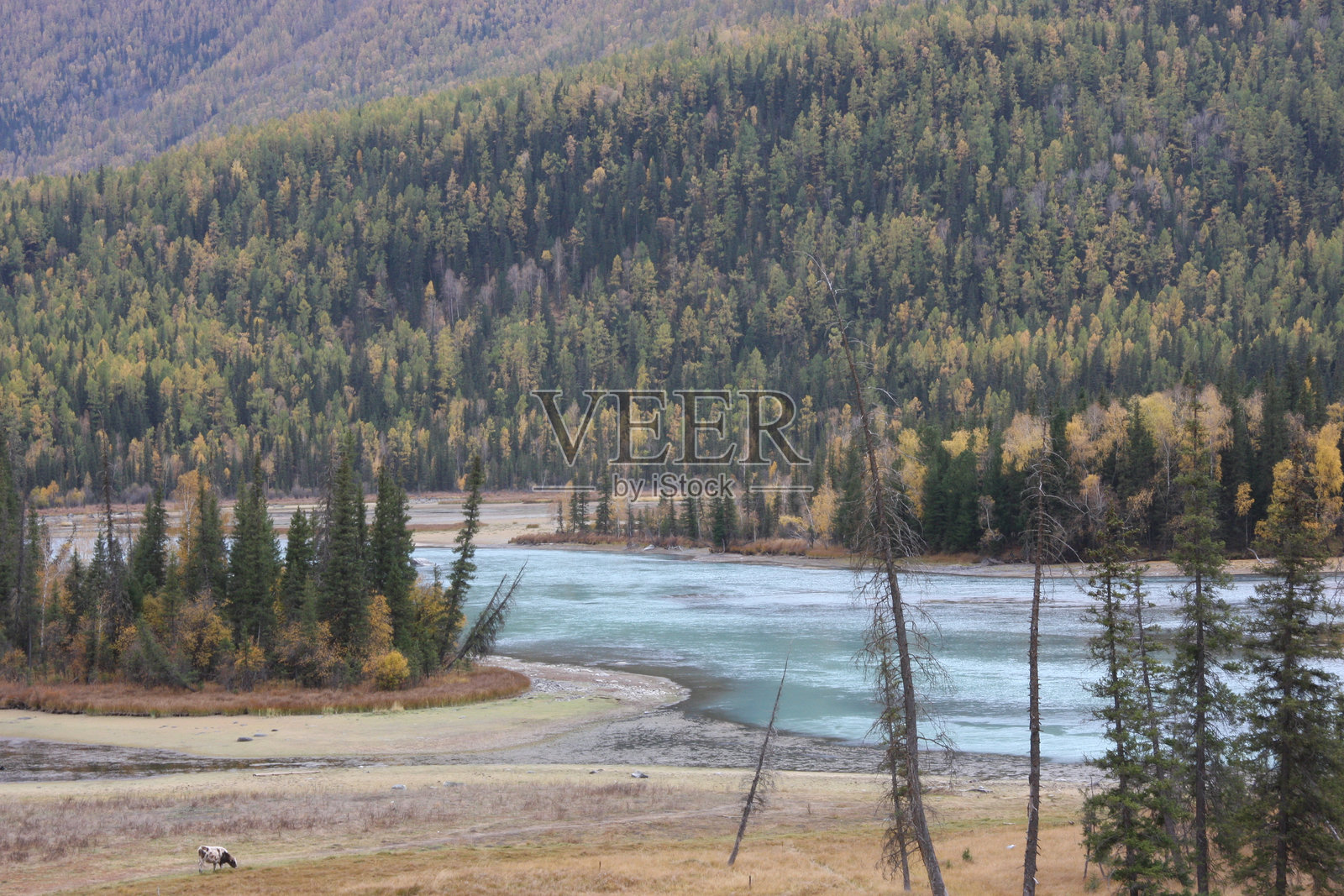 中国的自然照片摄影图片