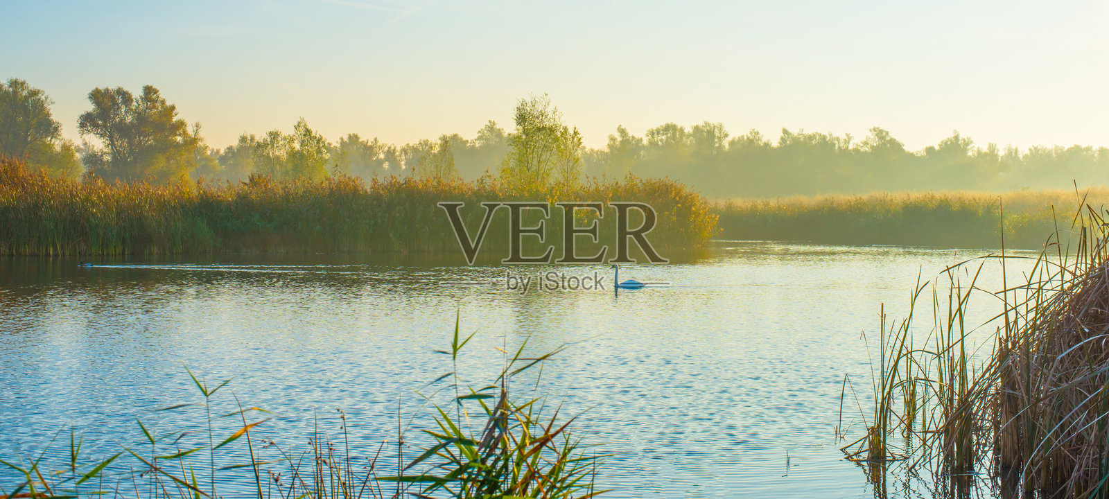 秋天雾蒙蒙的日出时分，湖边的景色照片摄影图片