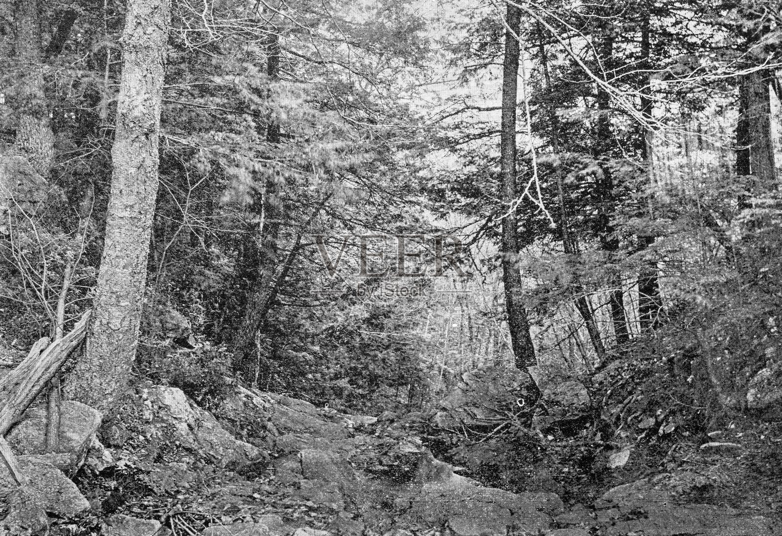 马萨诸塞州伍斯特及周边的古董图像：巴雷中心瀑布，峡谷插画图片素材