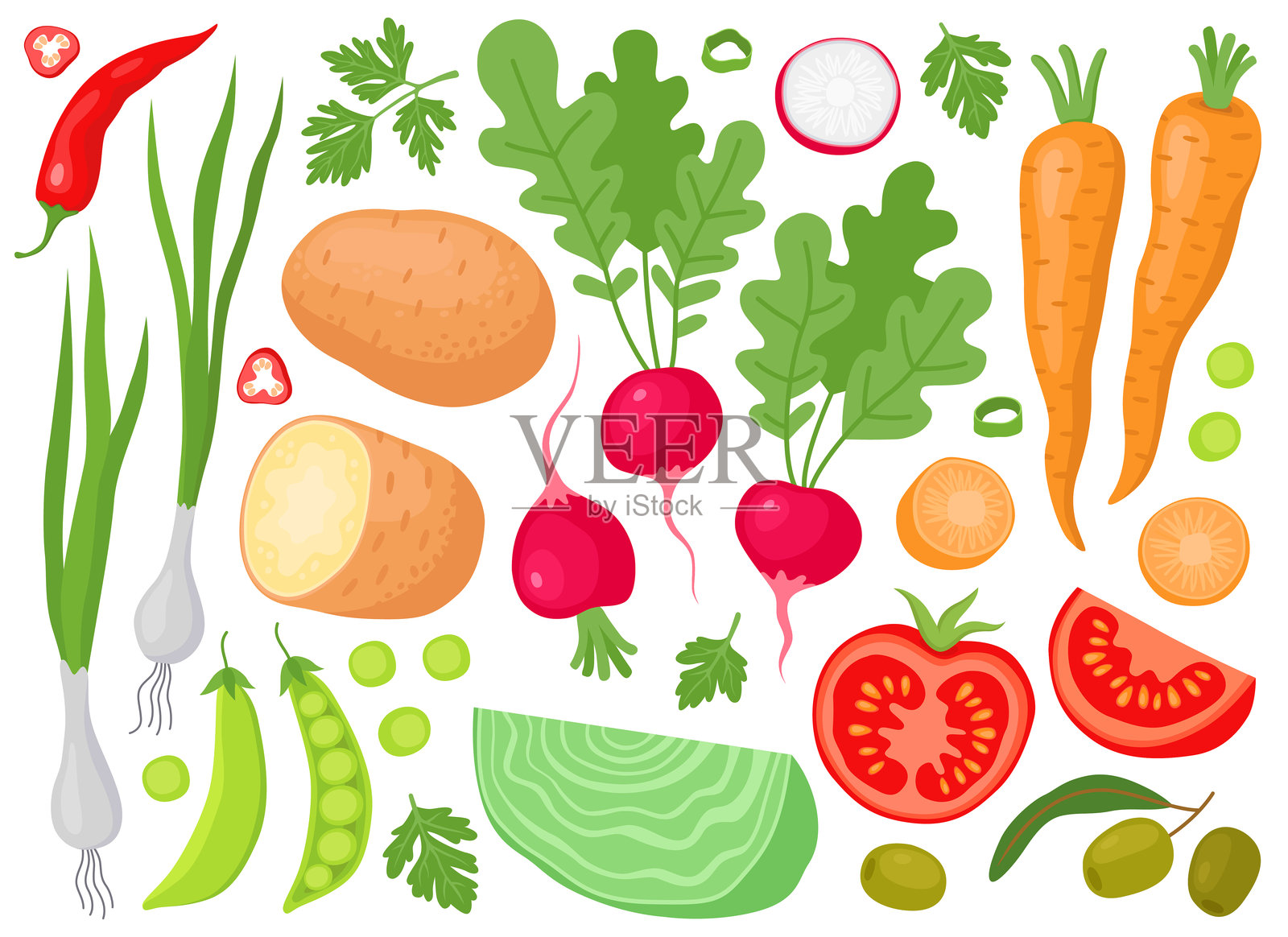 蔬菜和植物的集合。土豆、胡萝卜、萝卜、卷心菜、西红柿、豌豆、橄榄、葱、辣椒。插画图片素材