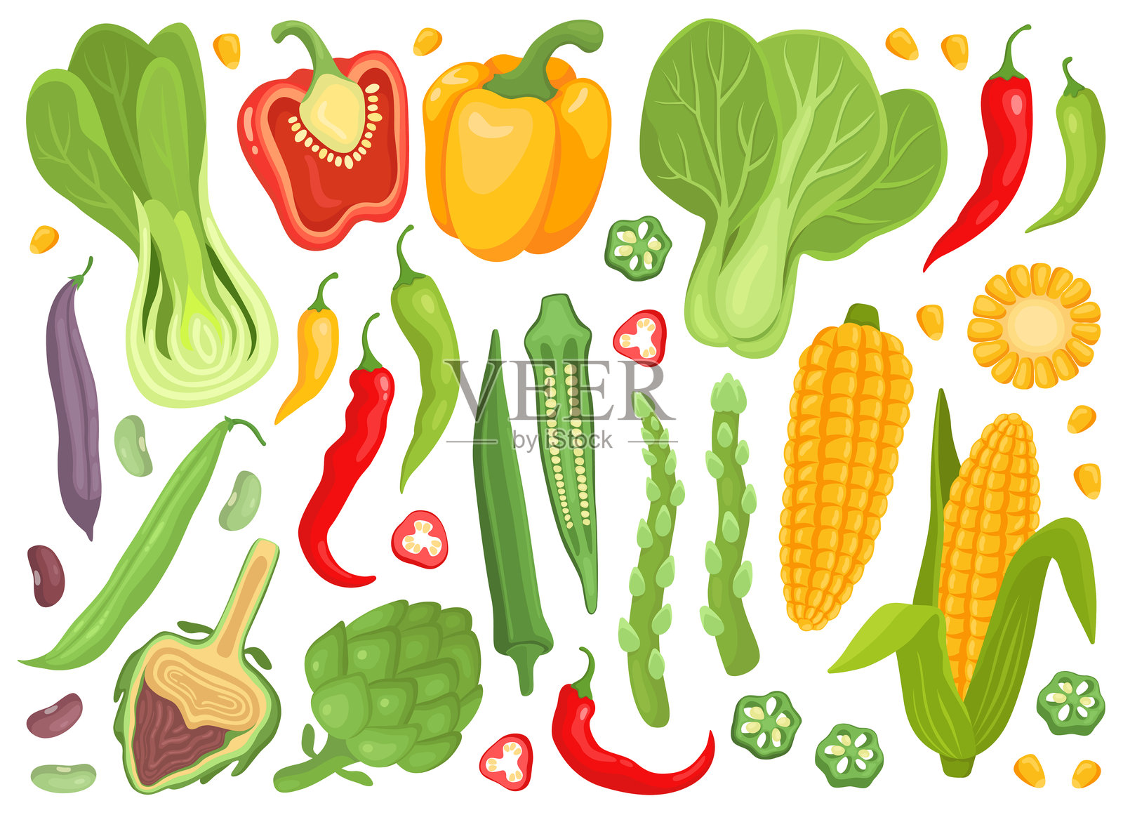 各种蔬菜和植物的集合。甜椒、辣椒、小白菜、玉米和玉米粒、秋葵、朝鲜蓟、芦笋。插画图片素材