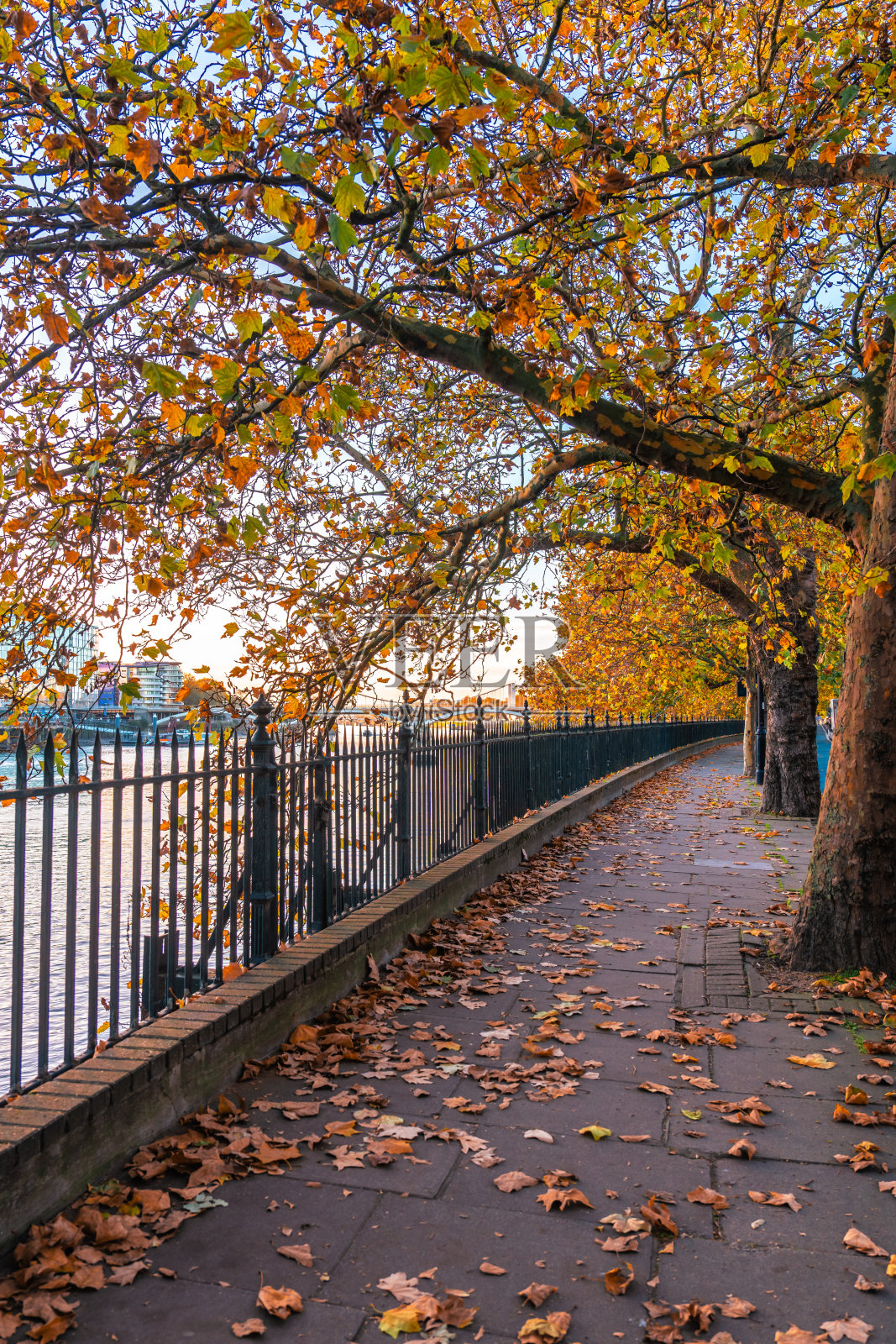泰晤士河畔小径的日落景色照片摄影图片