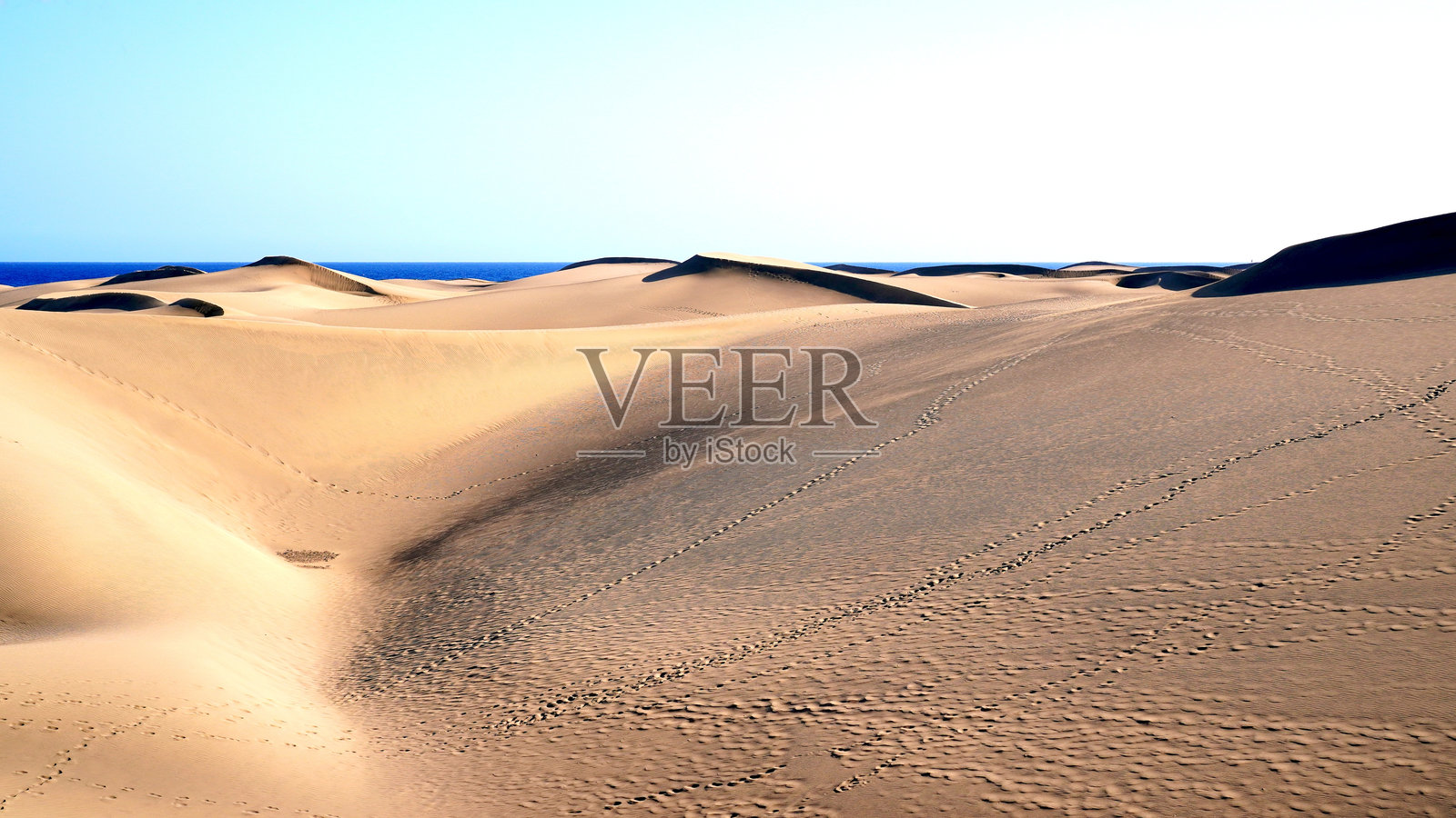 马斯帕洛马斯的金色沙丘照片摄影图片