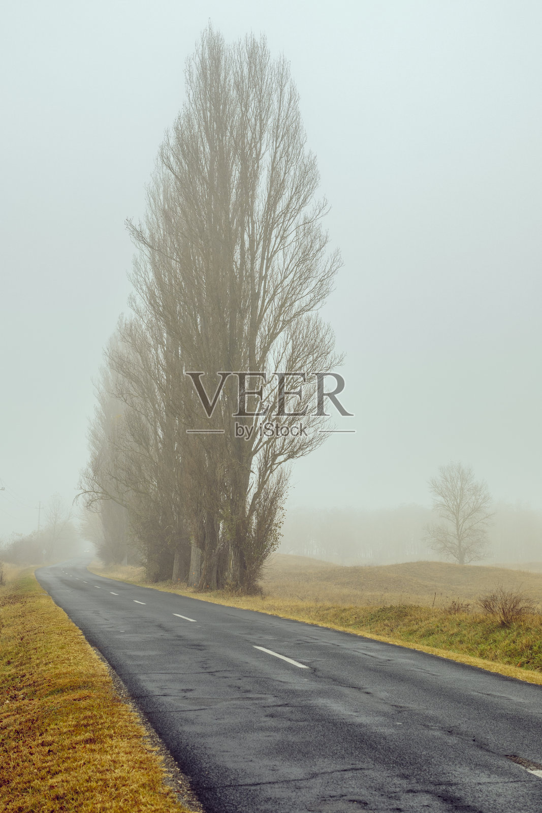 秋天的氛围照片摄影图片