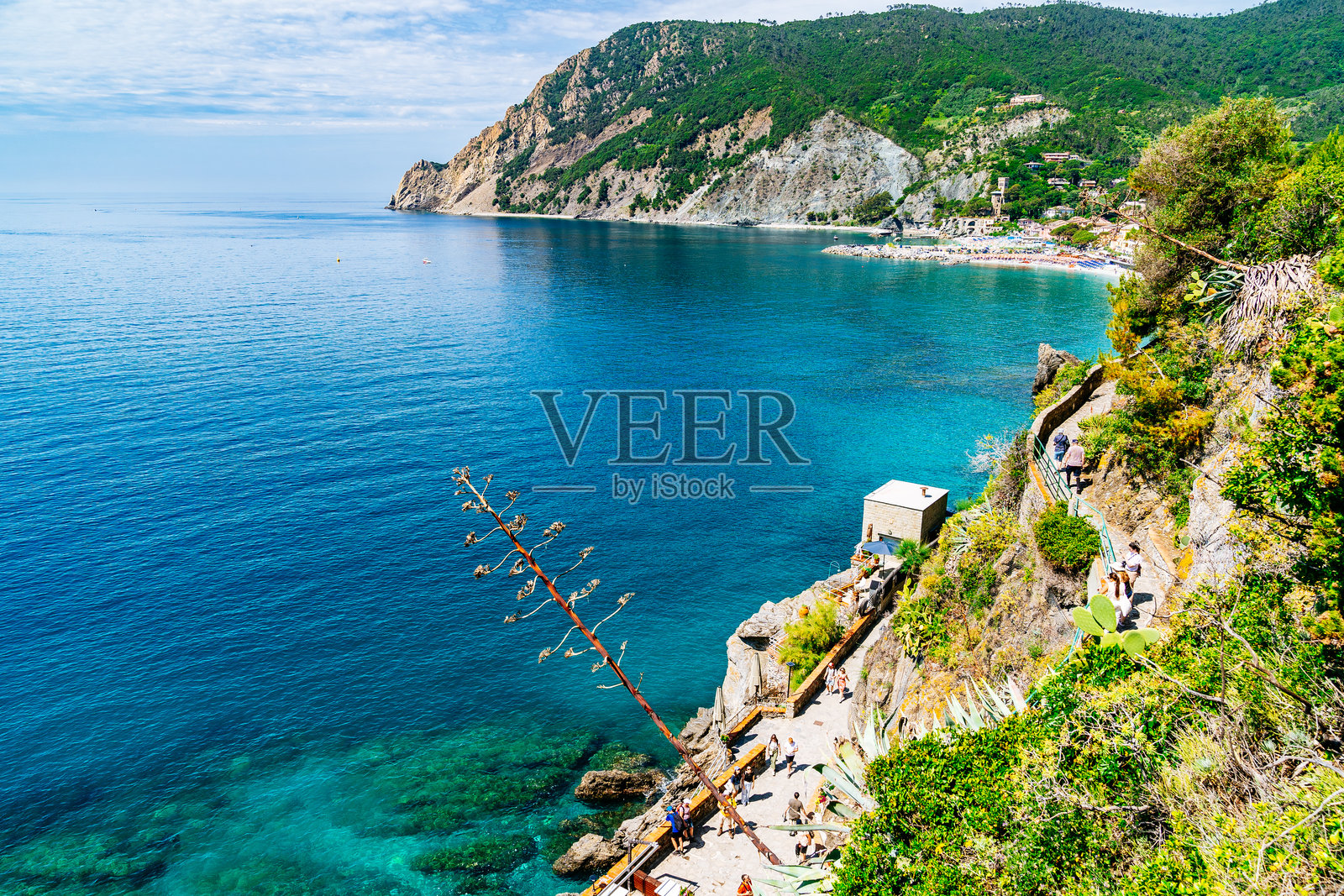 意大利五渔村蒙特罗索的悬崖边缘俯瞰利古里亚海，清澈的海水和植被。照片摄影图片