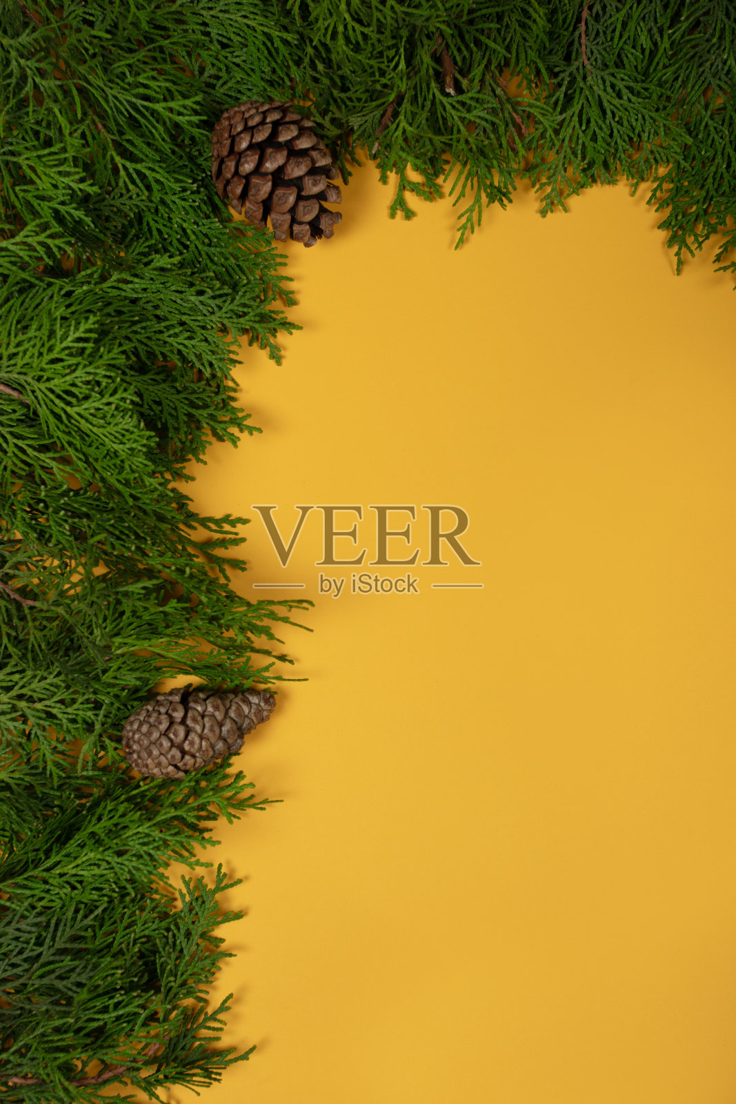 常青松框架 - 乡村冬季林地背景照片摄影图片