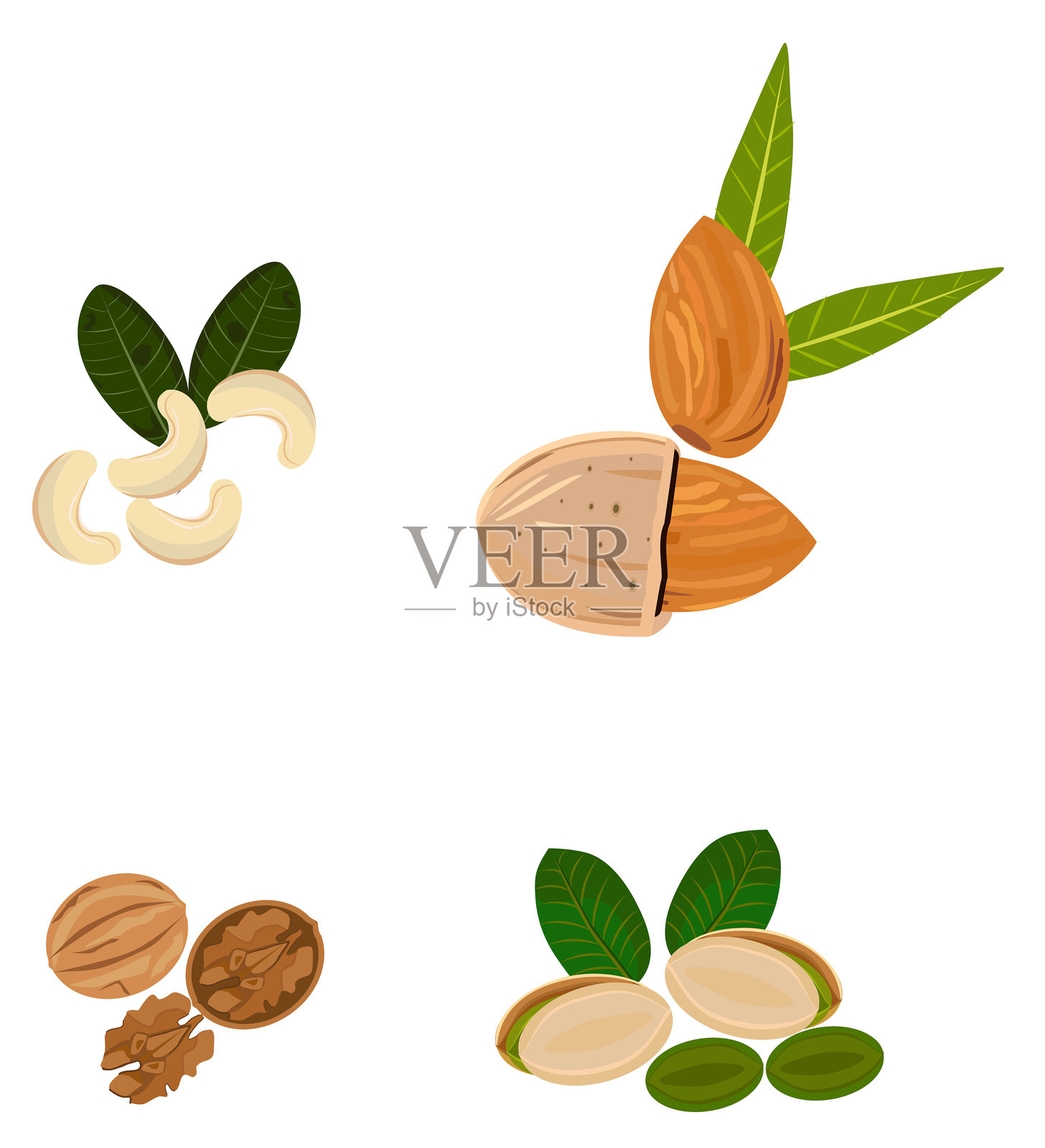 四组坚果插画图片素材